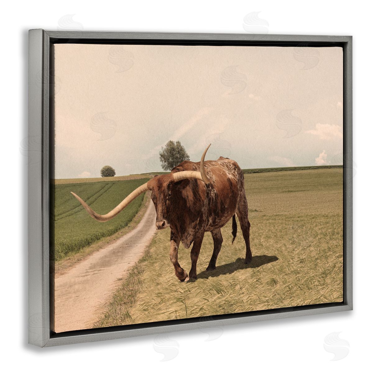 Marcus Prime Longhorn Cattle Grazing Scenic Countryside Landscape Gray Floating Frame Canvas Wall Art Print
