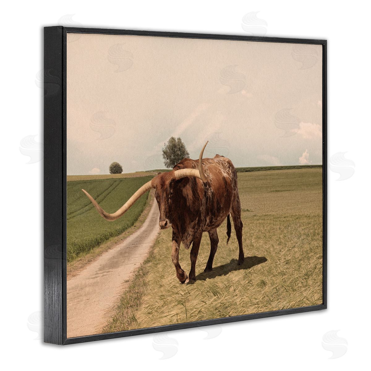 Marcus Prime Longhorn Cattle Grazing Scenic Countryside Landscape Black Framed Giclee Wall Art Print