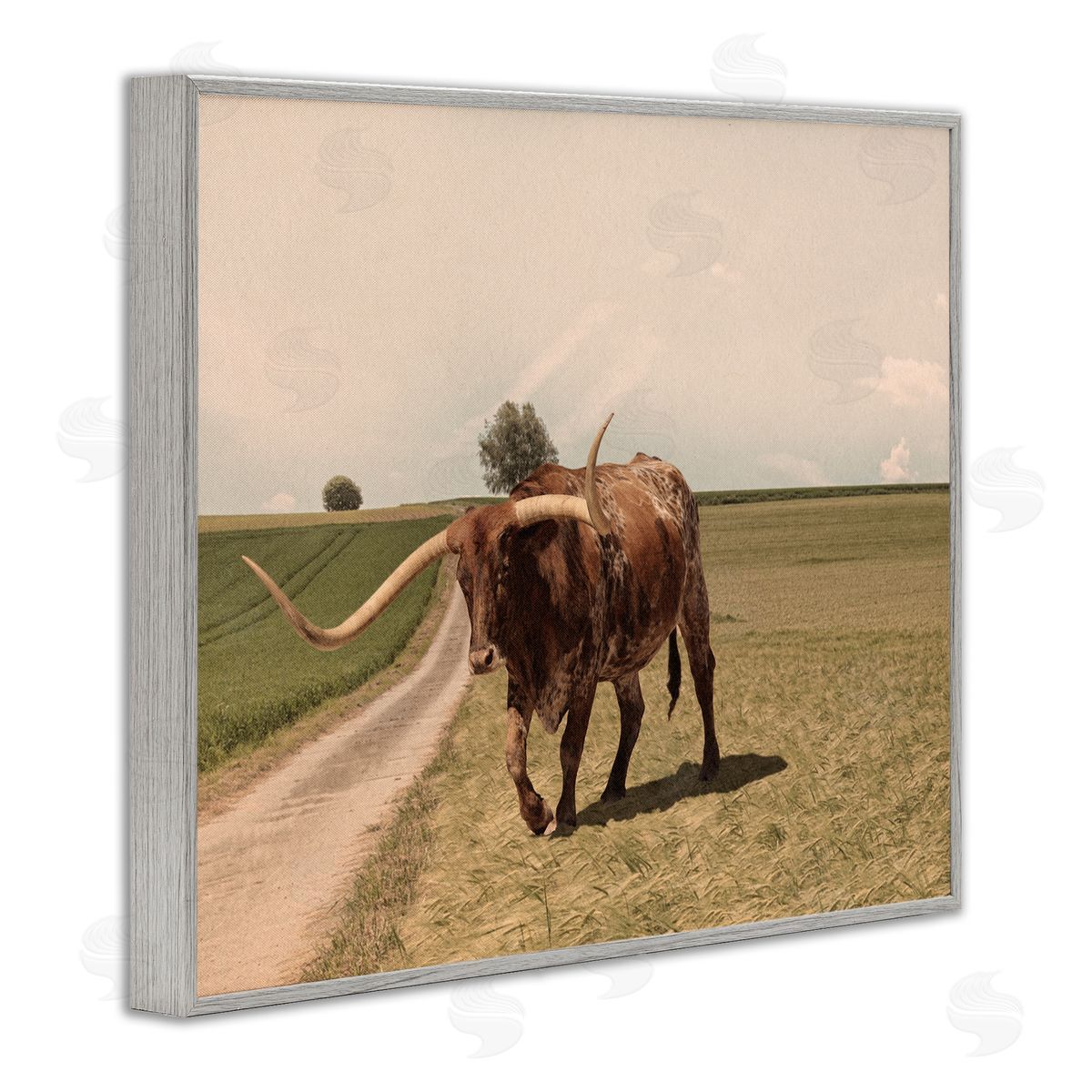 Marcus Prime Longhorn Cattle Grazing Scenic Countryside Landscape Gray Framed Giclee Wall Art Print
