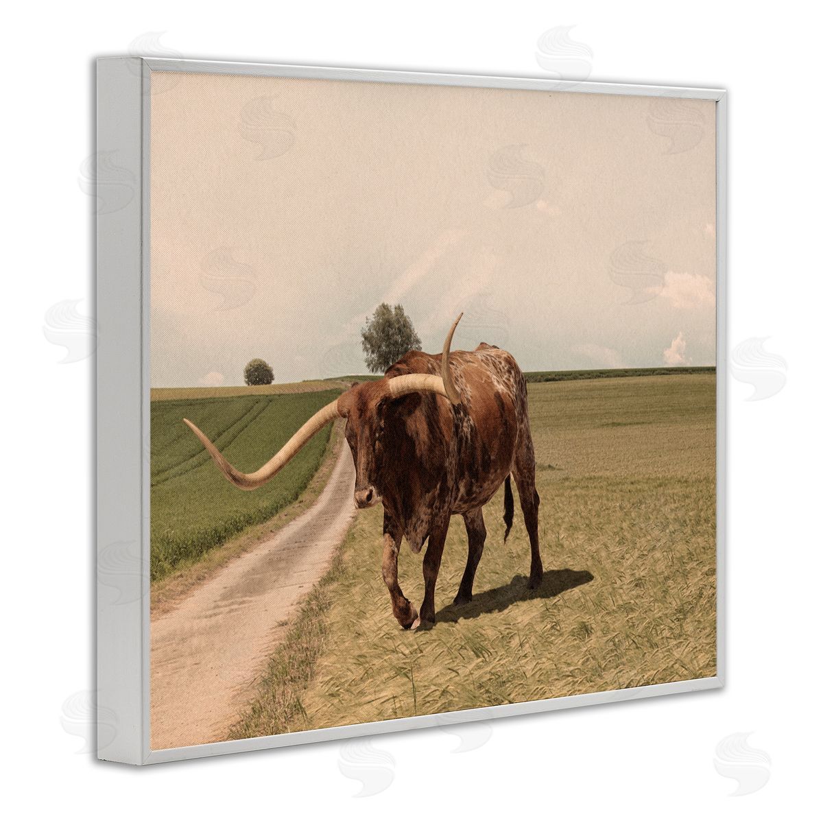 Marcus Prime Longhorn Cattle Grazing Scenic Countryside Landscape White Framed Giclee Wall Art Print