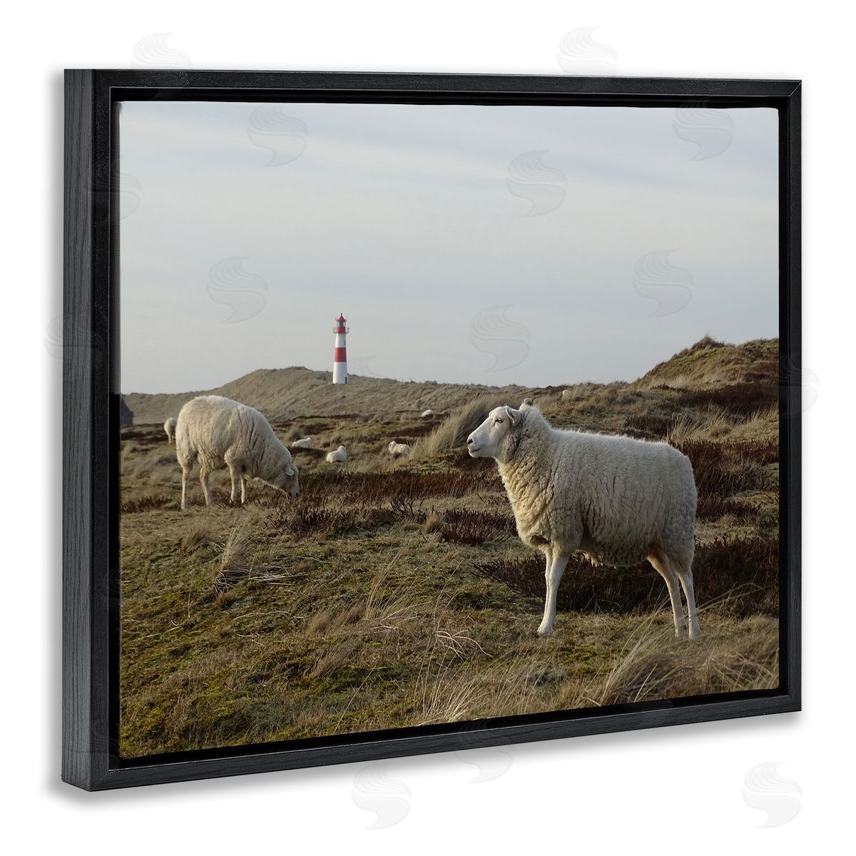 Stupell Studio Grazing Sheep Peaceful Grassland Hills Distant Lighthouse  Black Floating Frame Canvas Wall Art Print