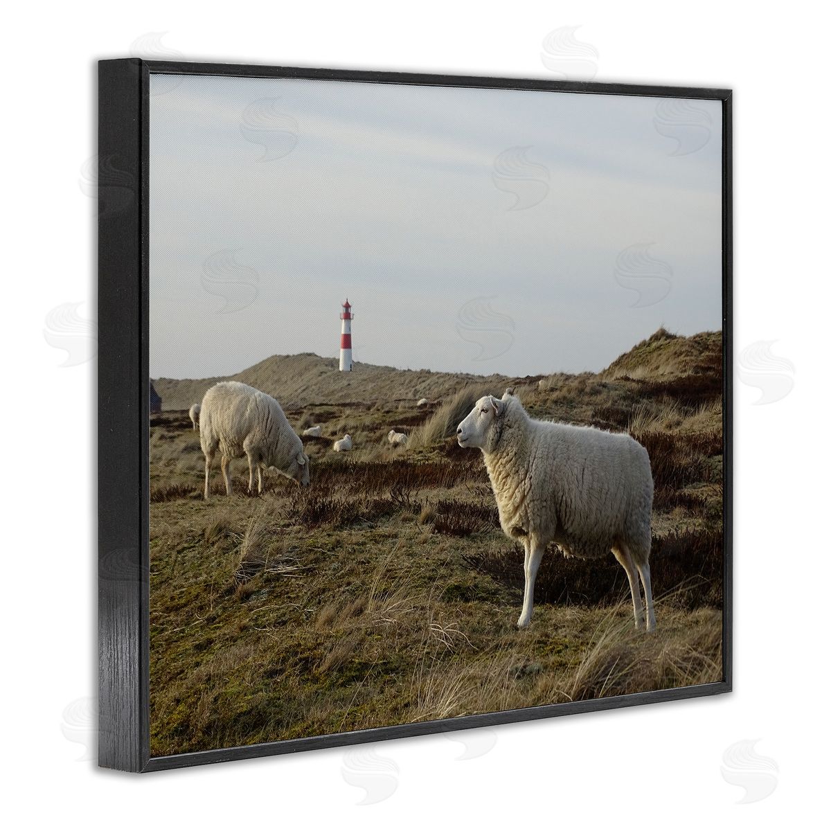 Stupell Studio Grazing Sheep Peaceful Grassland Hills Distant Lighthouse  Black Framed Giclee Wall Art Print