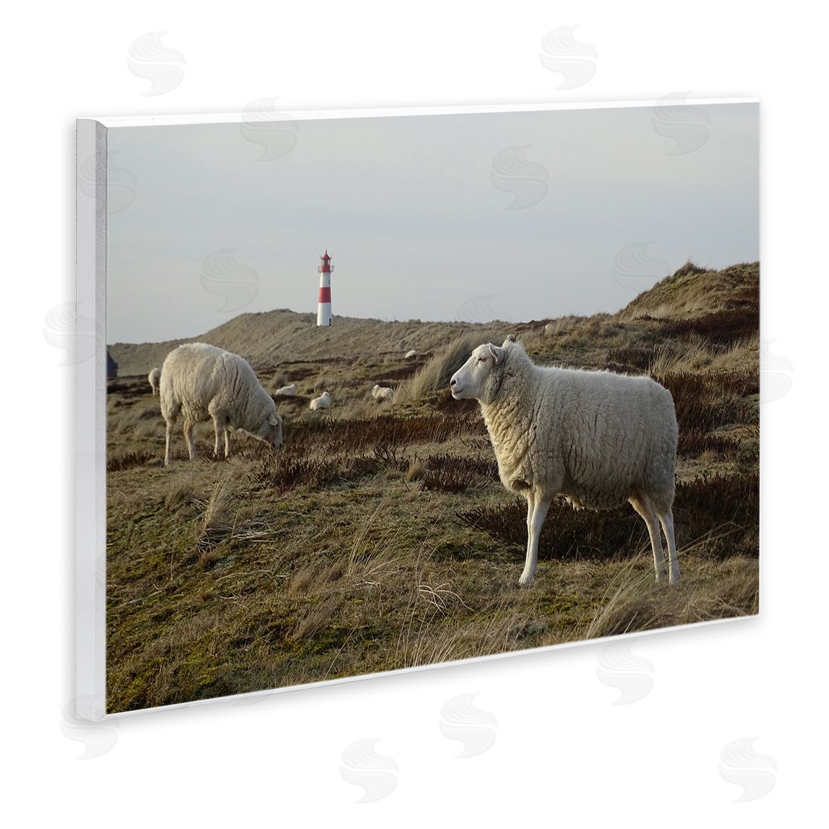 Stupell Studio Grazing Sheep Peaceful Grassland Hills Distant Lighthouse  Wall Plaque Art Print