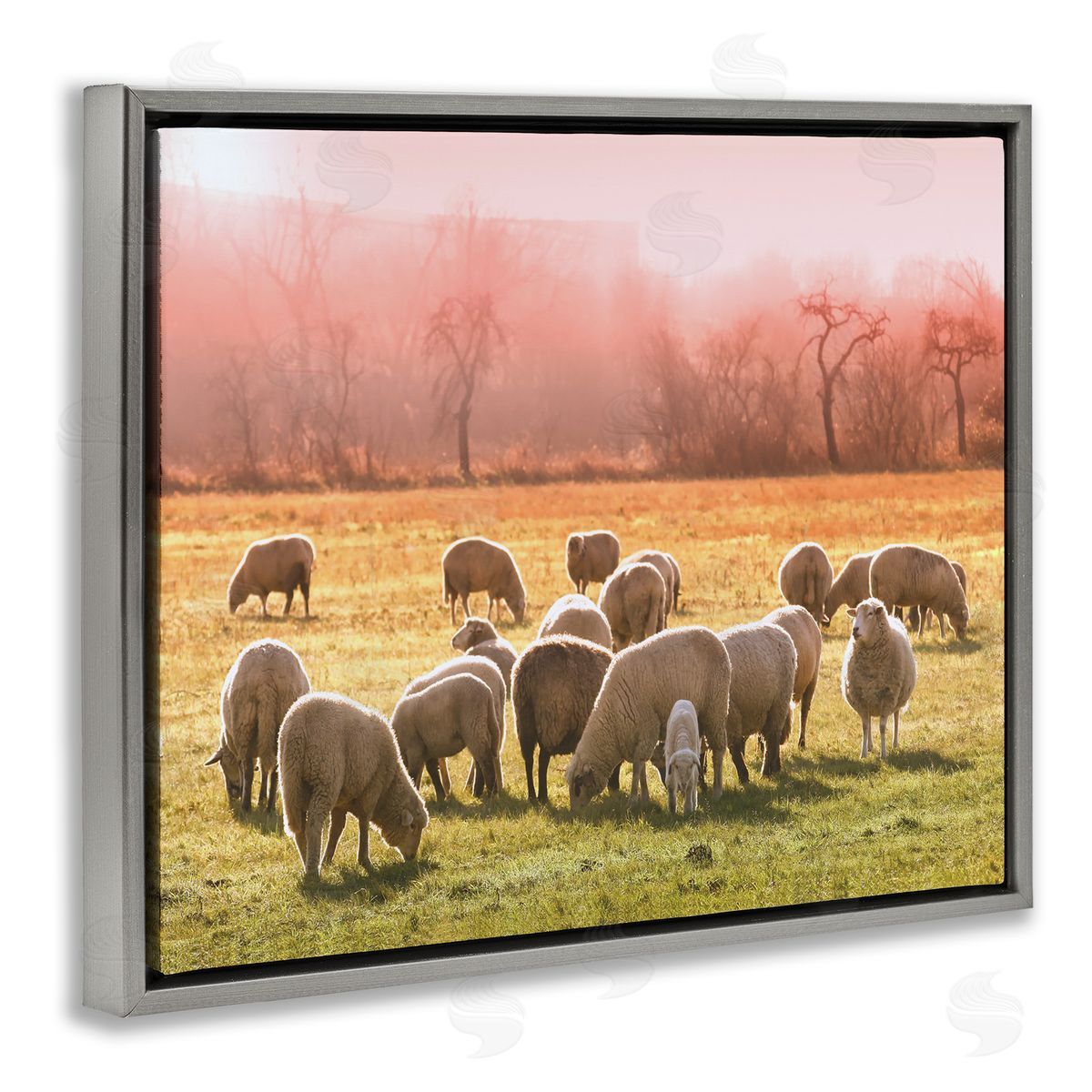 Stupell Studio Sheep Herd Grazing Warm Pink Sunset Rural Grassland Gray Floating Frame Canvas Wall Art Print