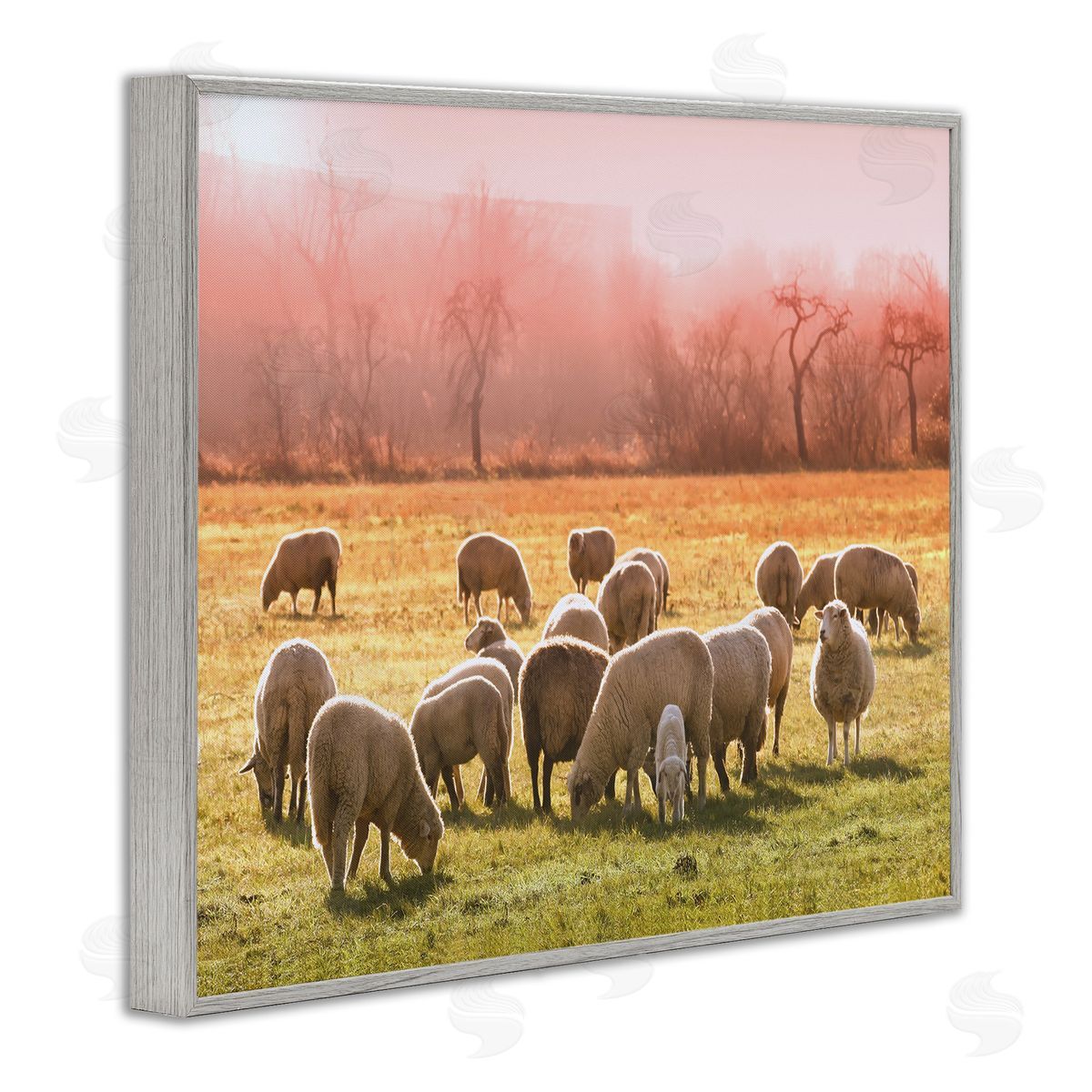 Stupell Studio Sheep Herd Grazing Warm Pink Sunset Rural Grassland Gray Framed Giclee Wall Art Print
