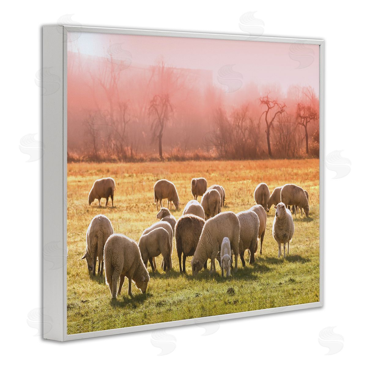 Stupell Studio Sheep Herd Grazing Warm Pink Sunset Rural Grassland White Framed Giclee Wall Art Print