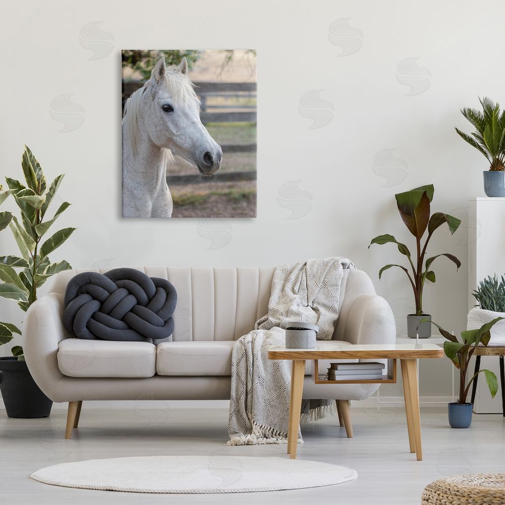 Stupell Studio Elegant White Spotted Horse Rural Country Farm Canvas Wall Art Print in Room