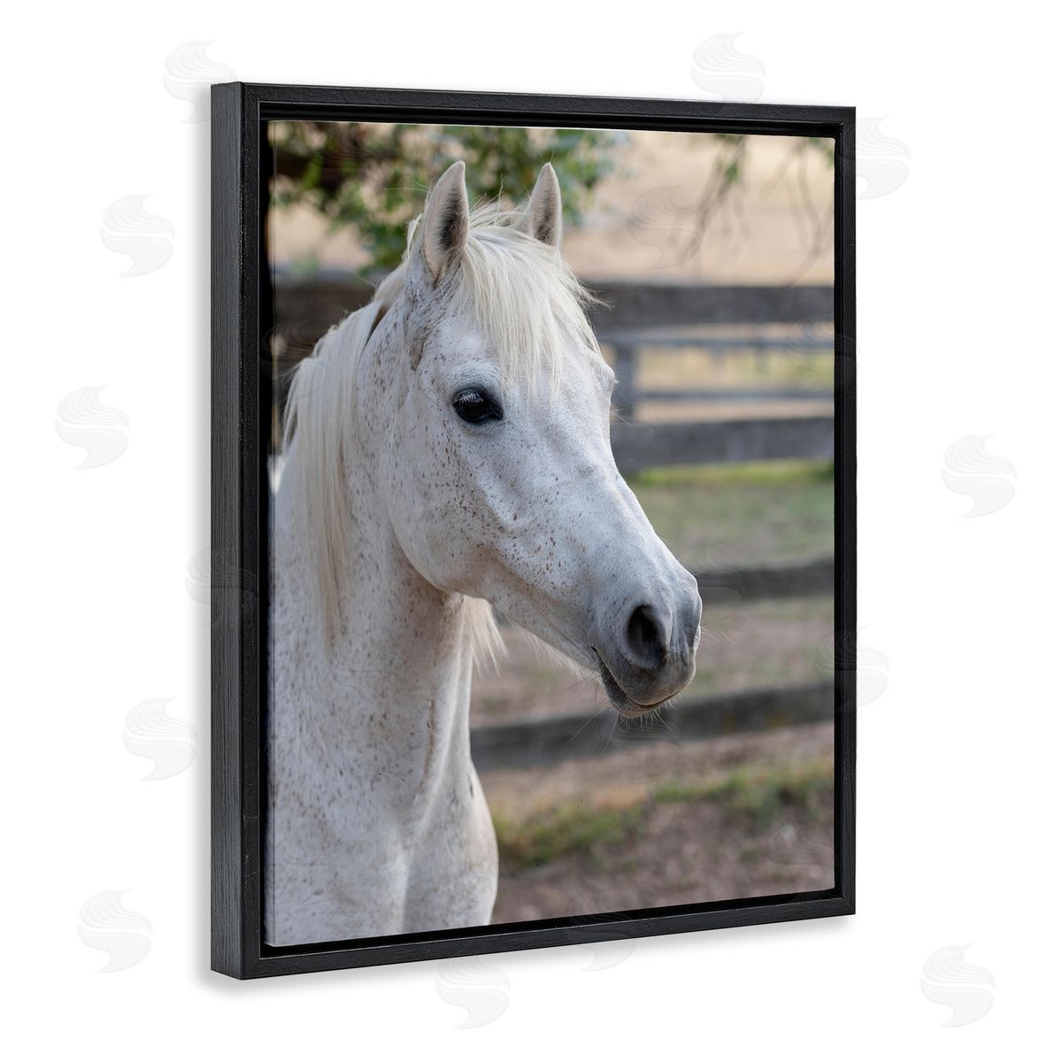 Stupell Studio Elegant White Spotted Horse Rural Country Farm Black Floating Frame Canvas Wall Art Print