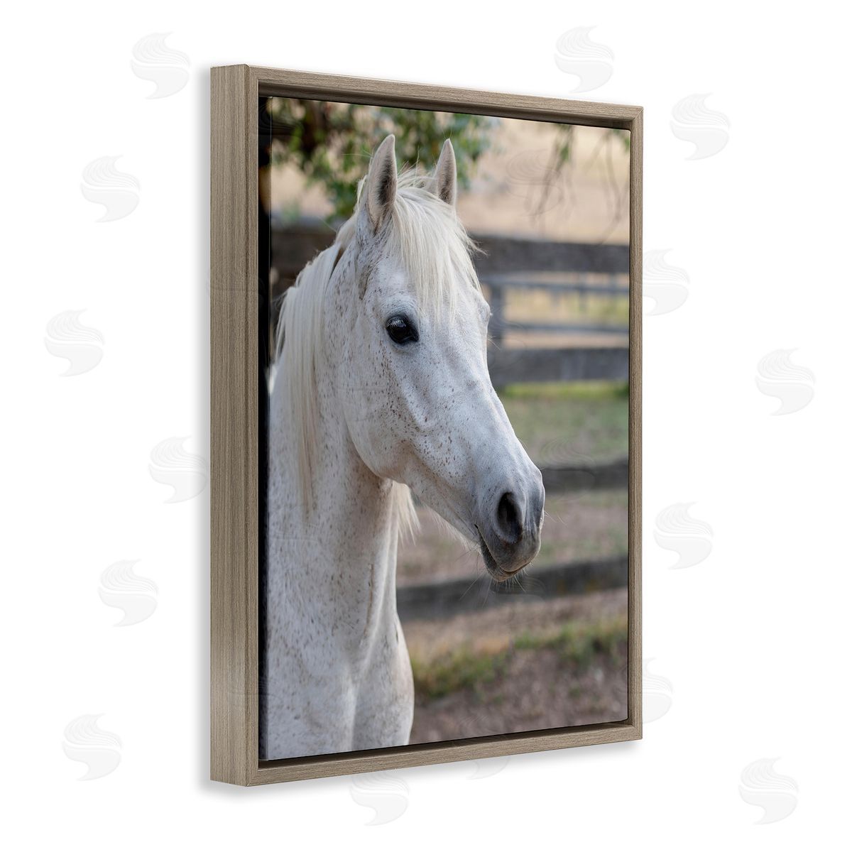 Stupell Studio Elegant White Spotted Horse Rural Country Farm Brown Floating Frame Canvas Wall Art Print