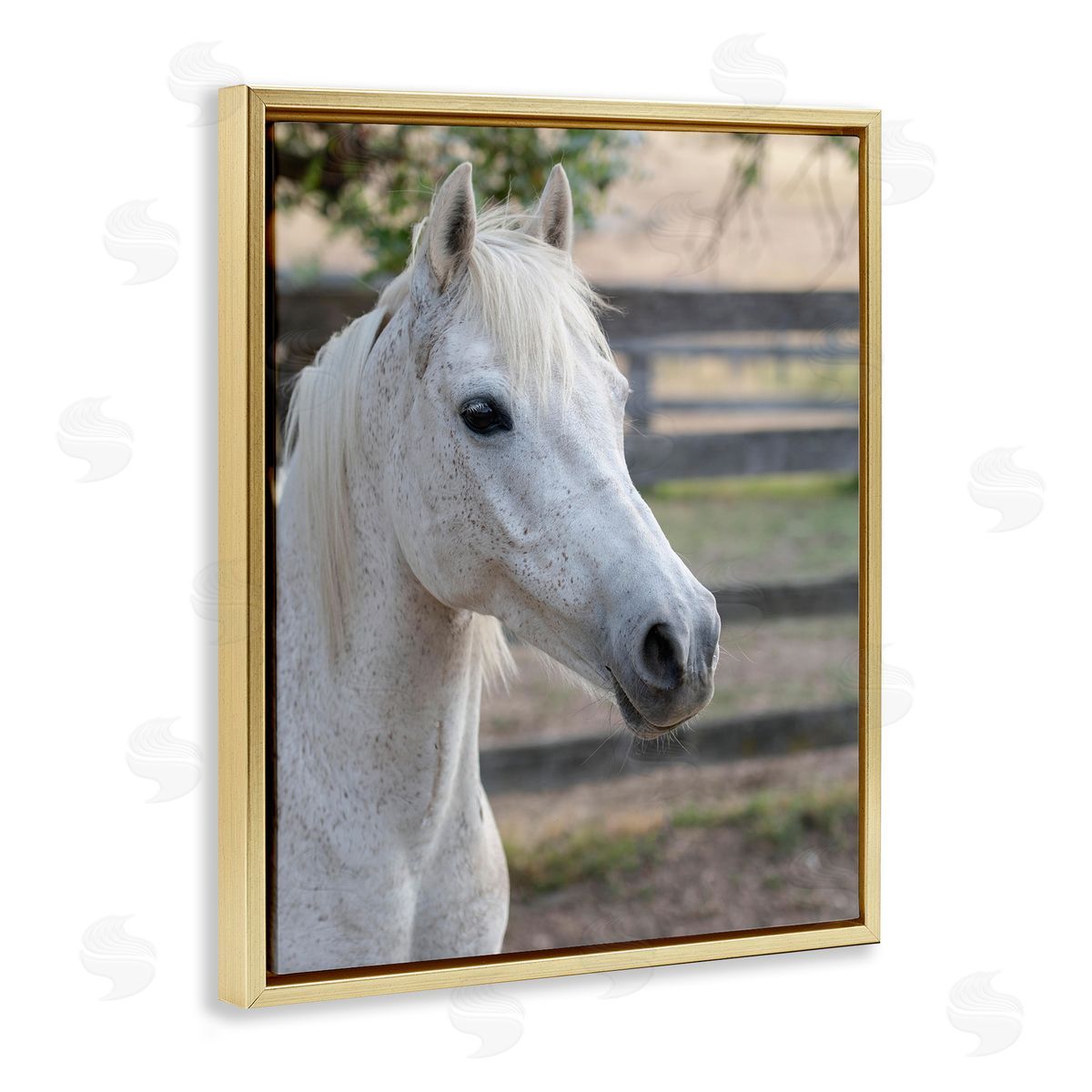 Stupell Studio Elegant White Spotted Horse Rural Country Farm Gold Floating Frame Canvas Wall Art Print