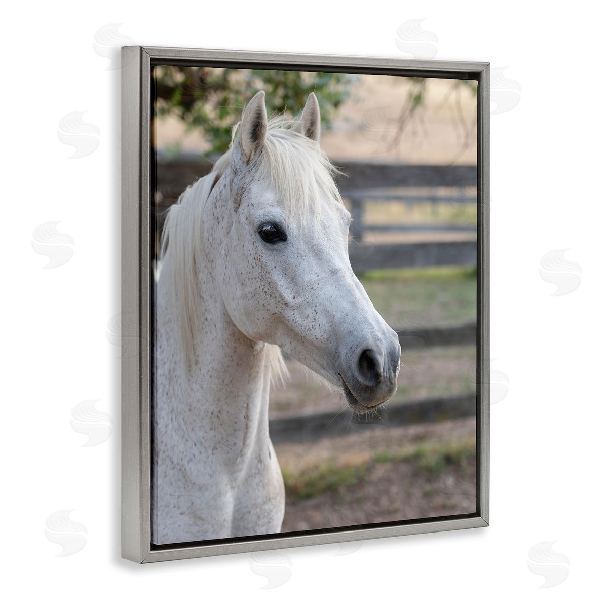 Stupell Studio Elegant White Spotted Horse Rural Country Farm Gray Floating Frame Canvas Wall Art Print