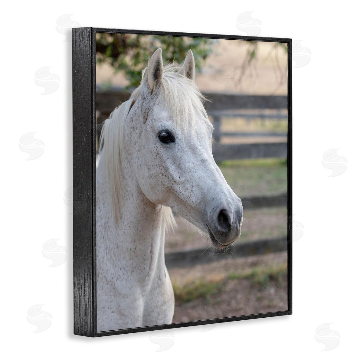 Stupell Studio Elegant White Spotted Horse Rural Country Farm Black Framed Giclee Wall Art Print