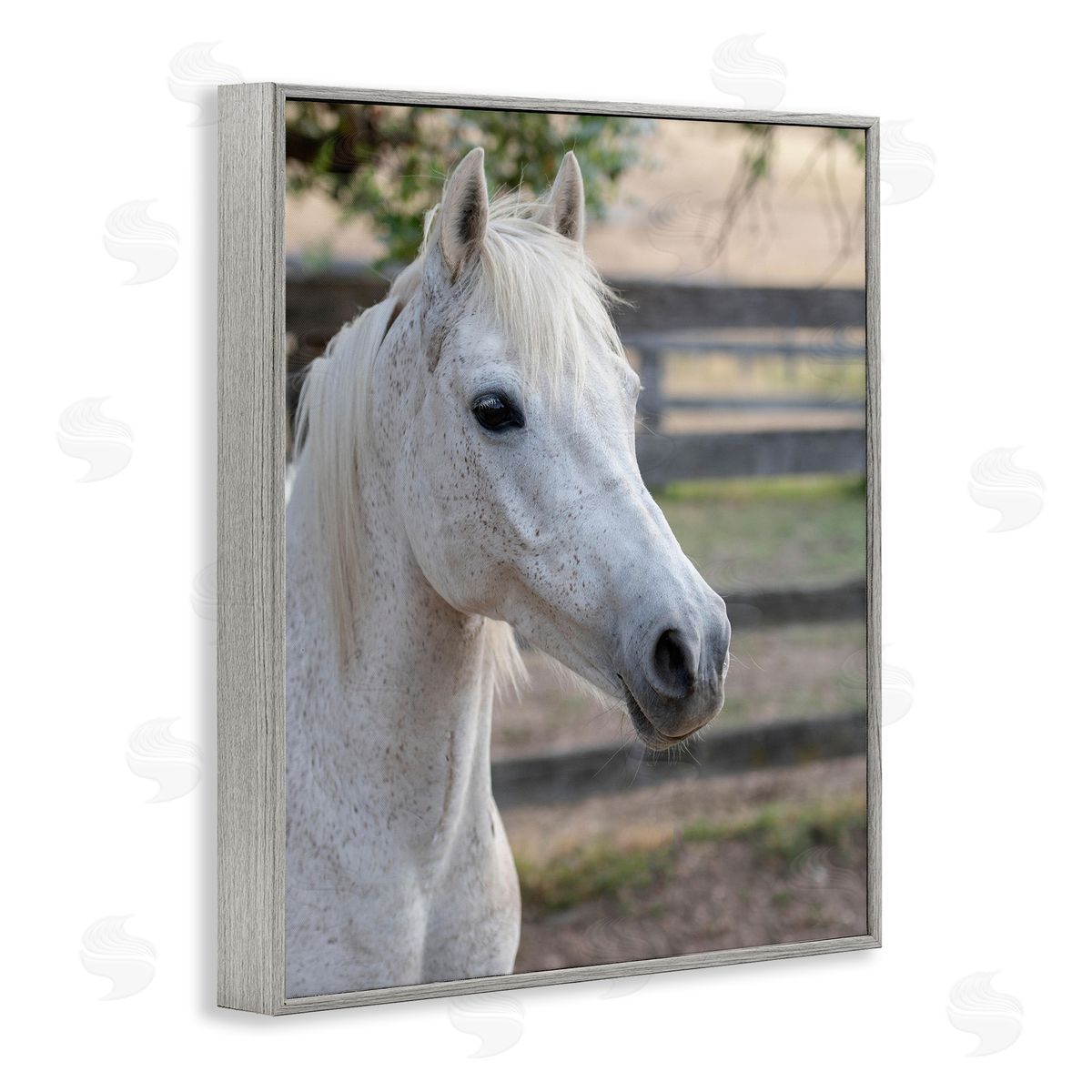 Stupell Studio Elegant White Spotted Horse Rural Country Farm Gray Framed Giclee Wall Art Print