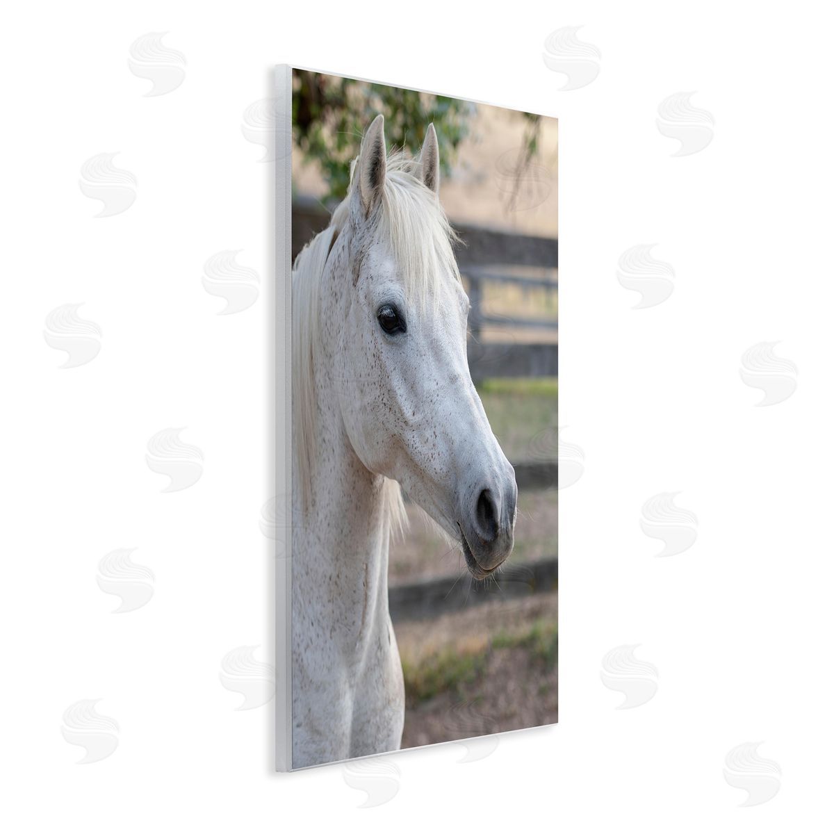 Stupell Studio Elegant White Spotted Horse Rural Country Farm Wall Plaque Art Print