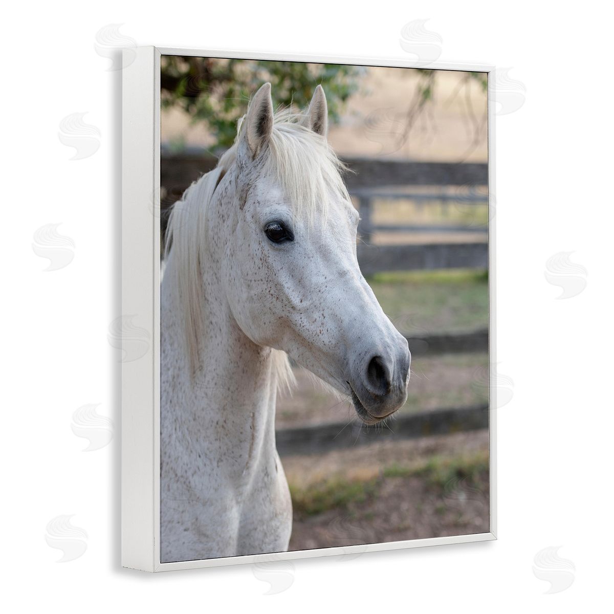 Stupell Studio Elegant White Spotted Horse Rural Country Farm White Framed Giclee Wall Art Print