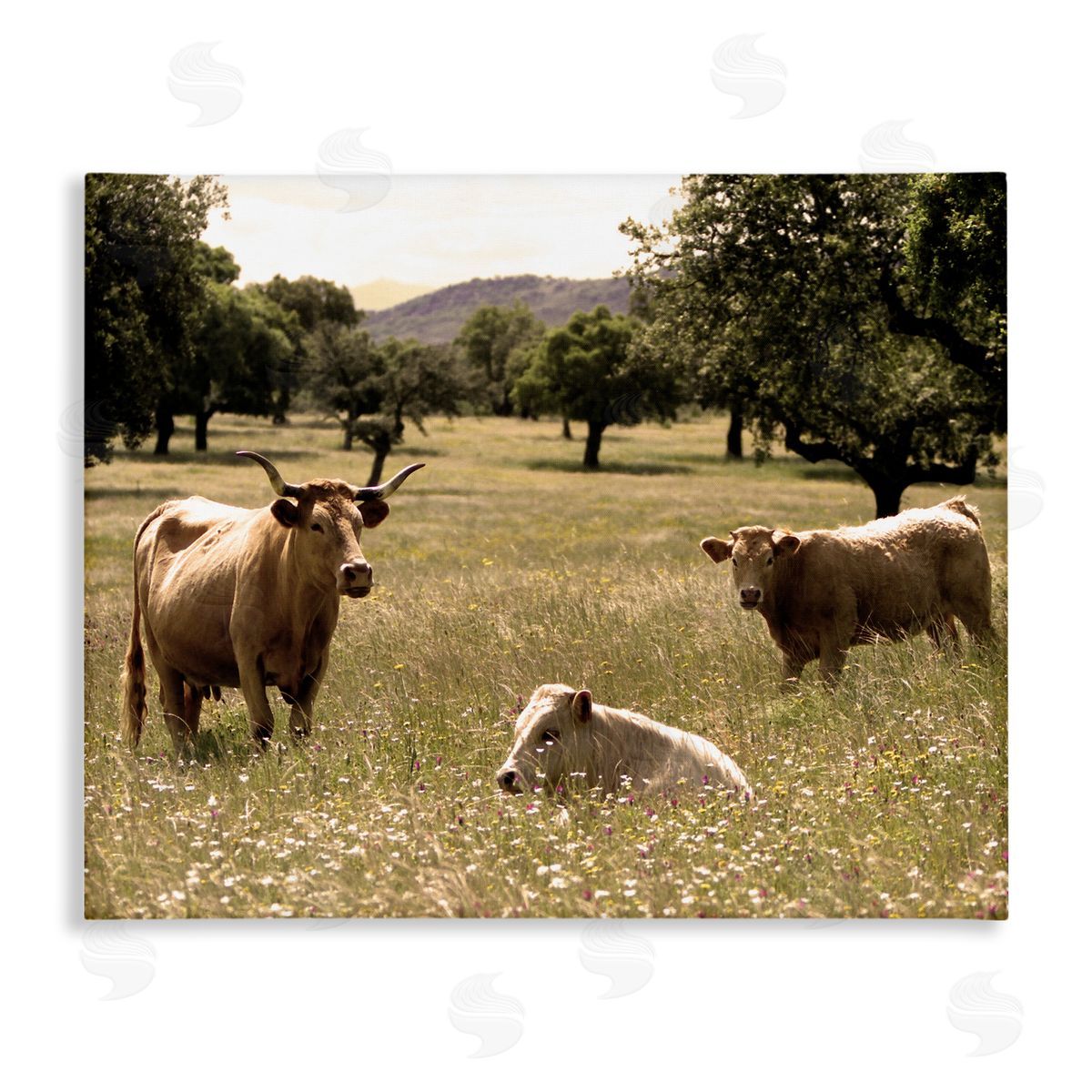 Stupell Studio Three Cattle Relaxing Grassland Pasture Rural Farm Trees Stretched Canvas Wall Art Print