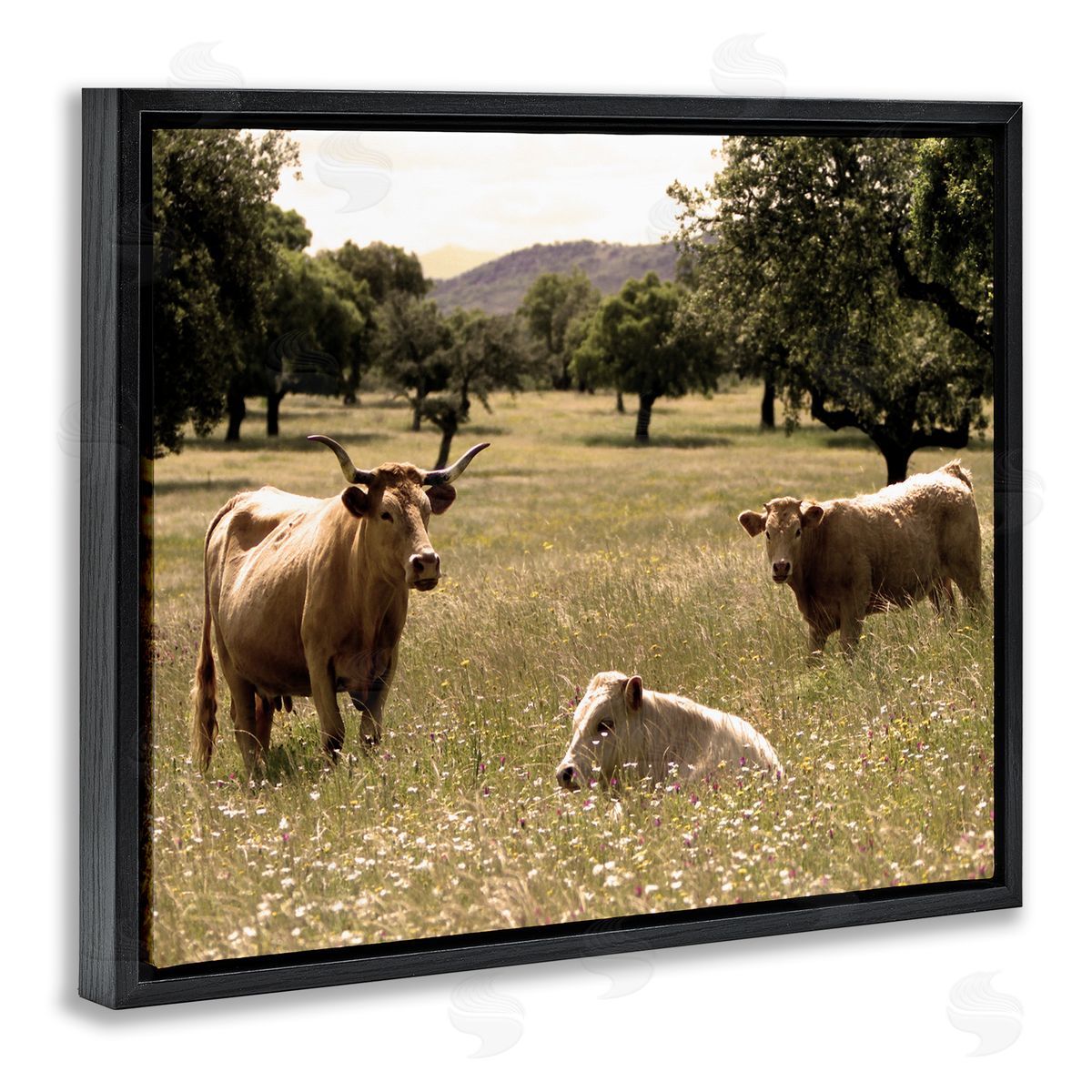 Stupell Studio Three Cattle Relaxing Grassland Pasture Rural Farm Trees Black Floating Frame Canvas Wall Art Print