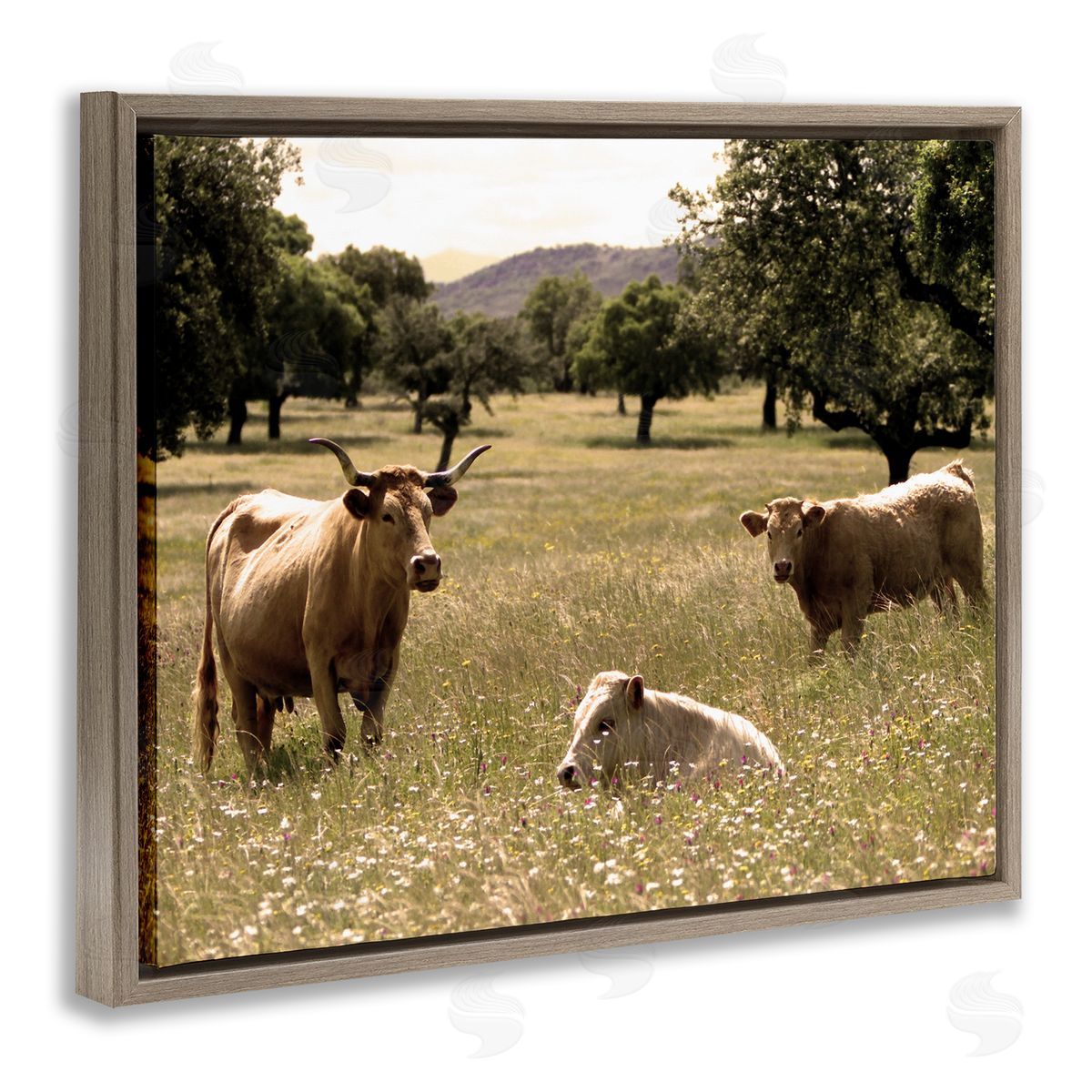 Stupell Studio Three Cattle Relaxing Grassland Pasture Rural Farm Trees Brown Floating Frame Canvas Wall Art Print