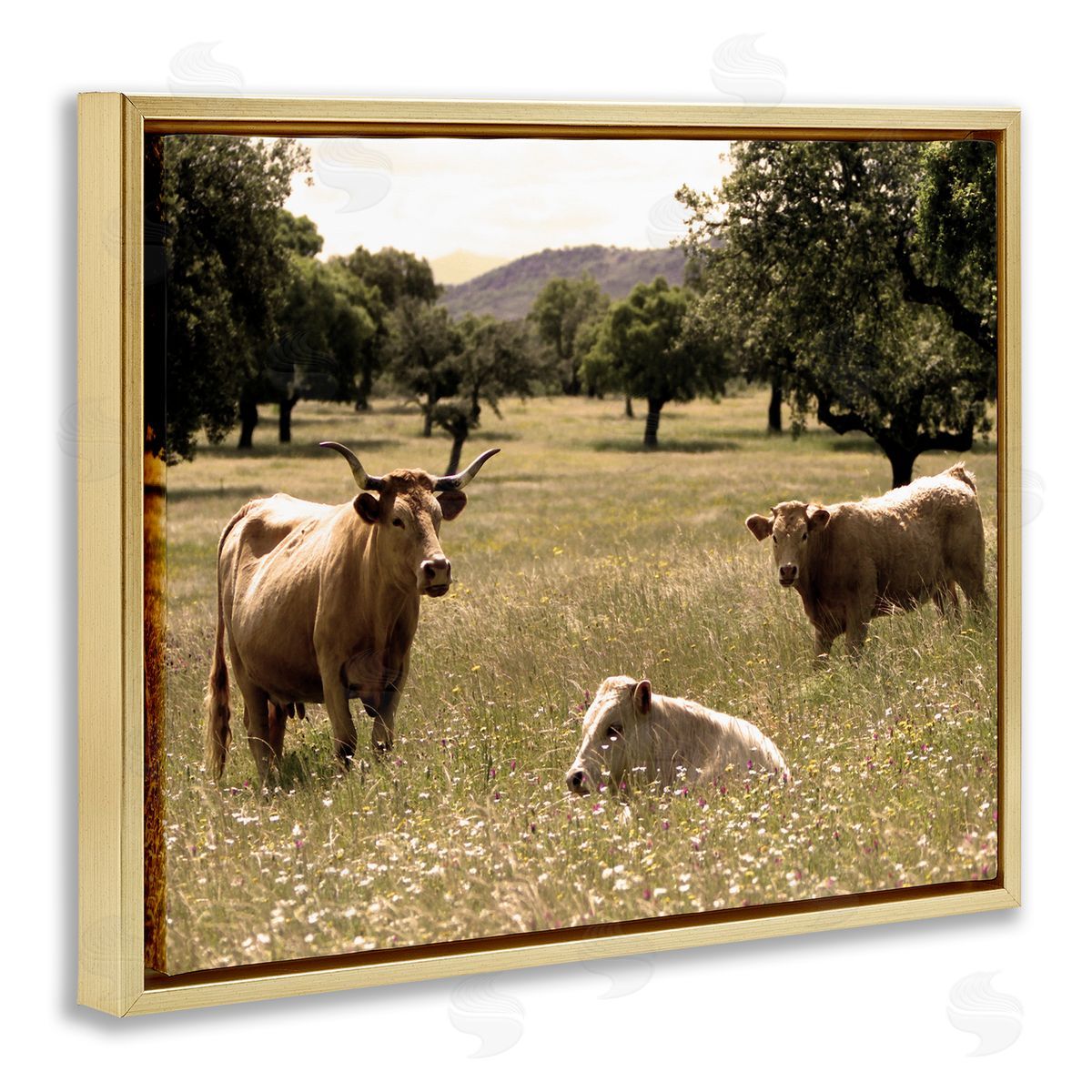 Stupell Studio Three Cattle Relaxing Grassland Pasture Rural Farm Trees Gold Floating Frame Canvas Wall Art Print