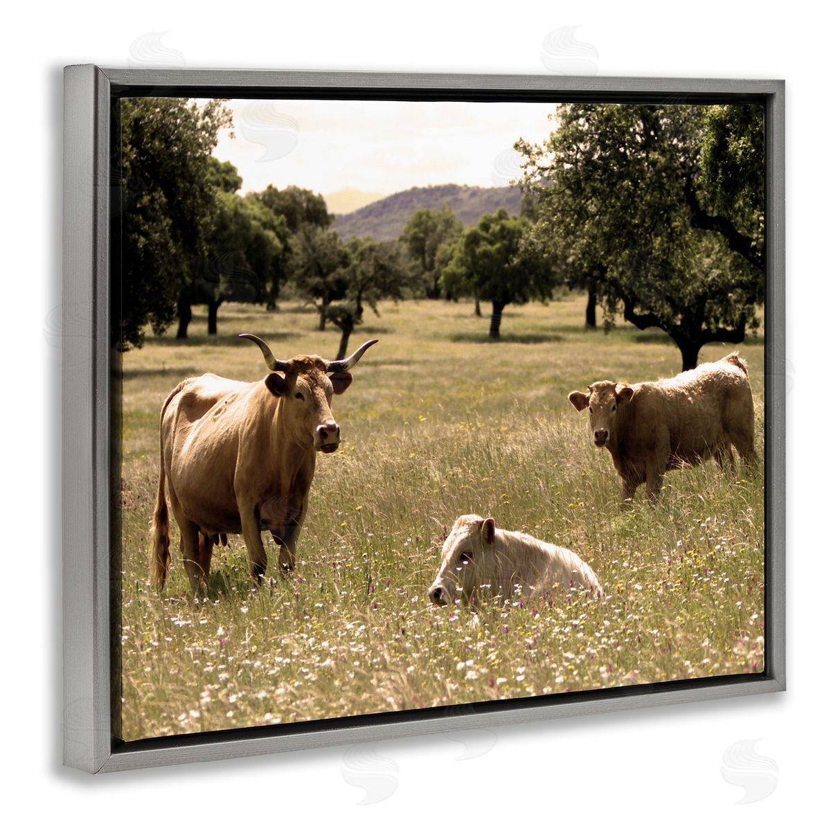 Stupell Studio Three Cattle Relaxing Grassland Pasture Rural Farm Trees Gray Floating Frame Canvas Wall Art Print