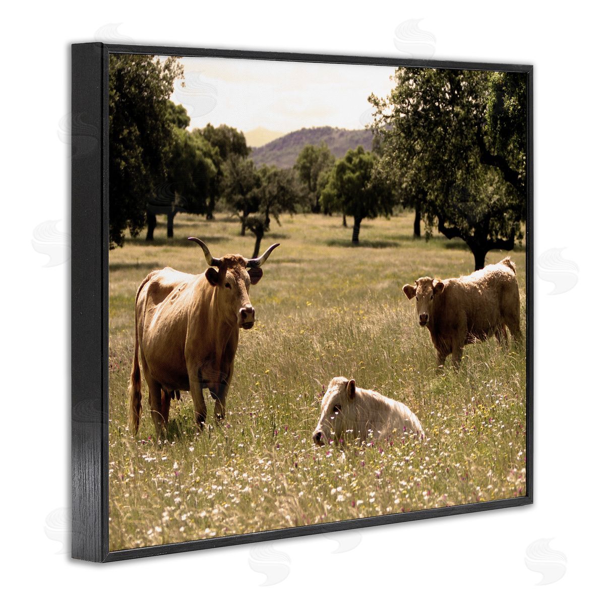 Stupell Studio Three Cattle Relaxing Grassland Pasture Rural Farm Trees Black Framed Giclee Wall Art Print