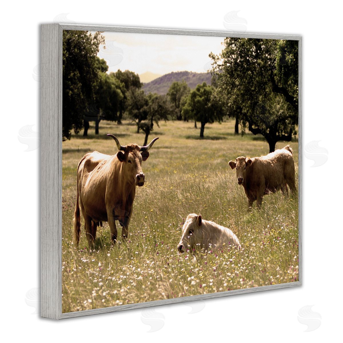 Stupell Studio Three Cattle Relaxing Grassland Pasture Rural Farm Trees Gray Framed Giclee Wall Art Print