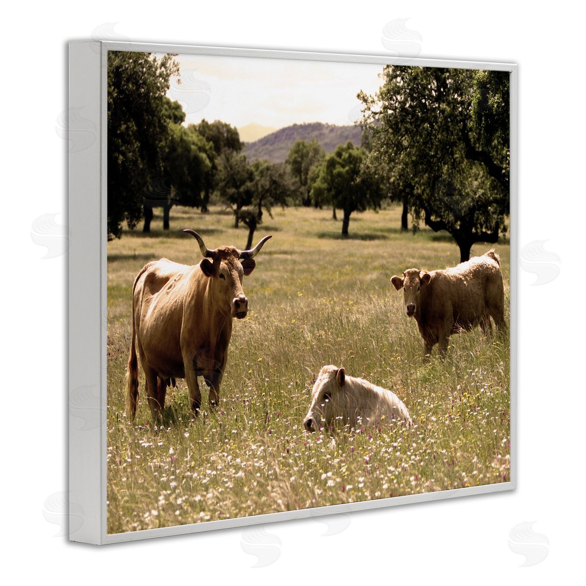 Stupell Studio Three Cattle Relaxing Grassland Pasture Rural Farm Trees White Framed Giclee Wall Art Print