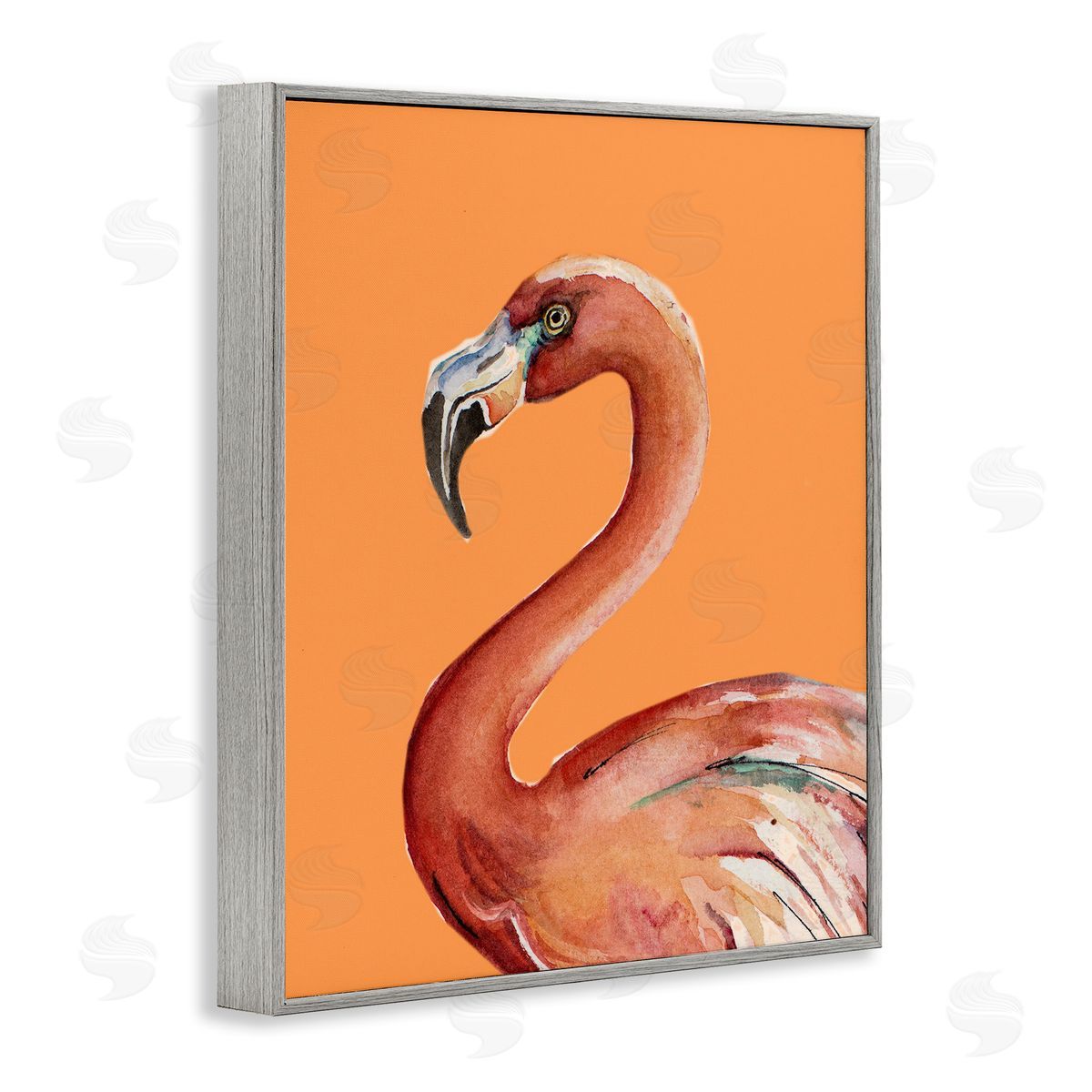 Patricia Pinto Tropical Flamingo Bird Portrait Watercolor Detail Gray Framed Giclee Wall Art Print