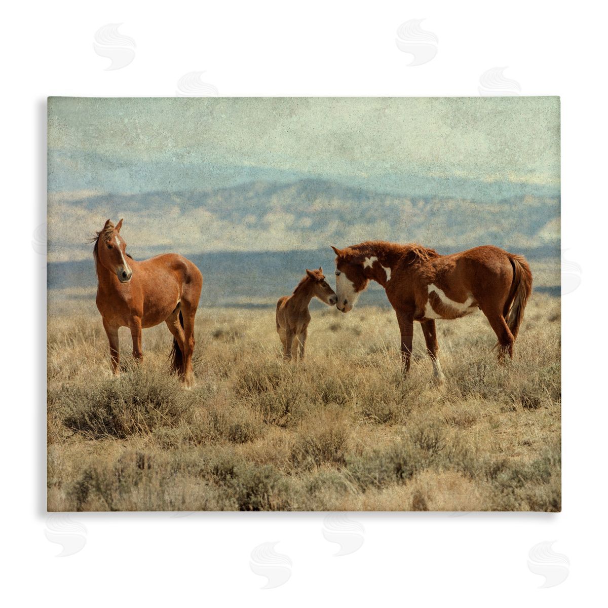 Jan Walters Heartening Horse Foal Family Scenic Mountain Clouds Stretched Canvas Wall Art Print