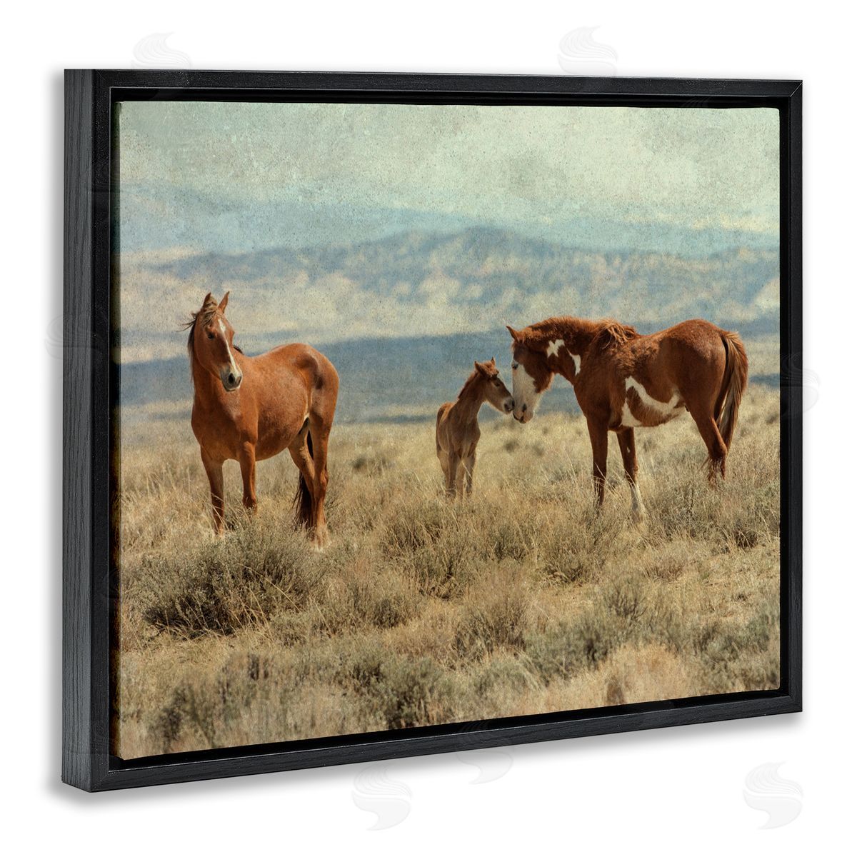 Jan Walters Heartening Horse Foal Family Scenic Mountain Clouds Black Floating Frame Canvas Wall Art Print