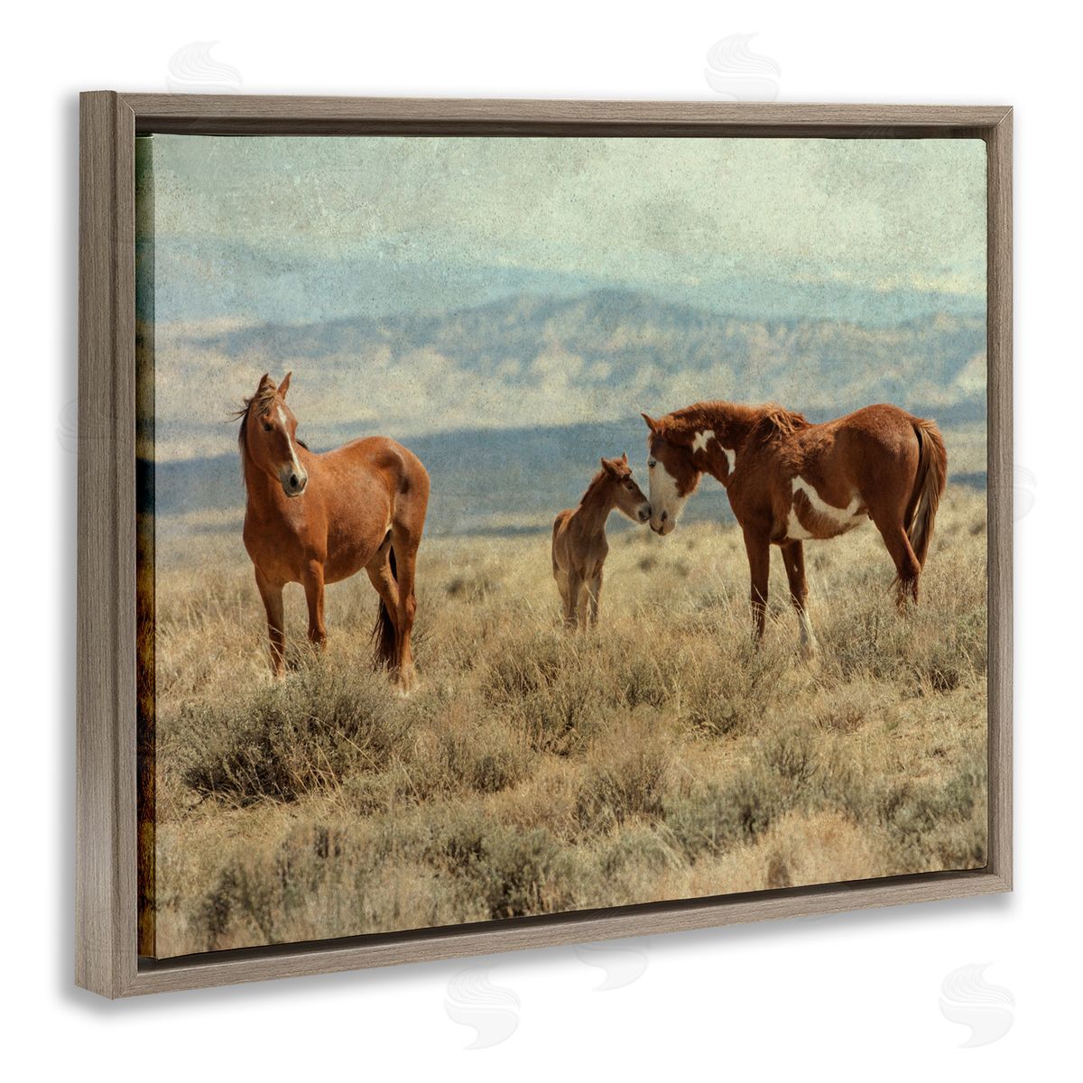 Jan Walters Heartening Horse Foal Family Scenic Mountain Clouds Brown Floating Frame Canvas Wall Art Print