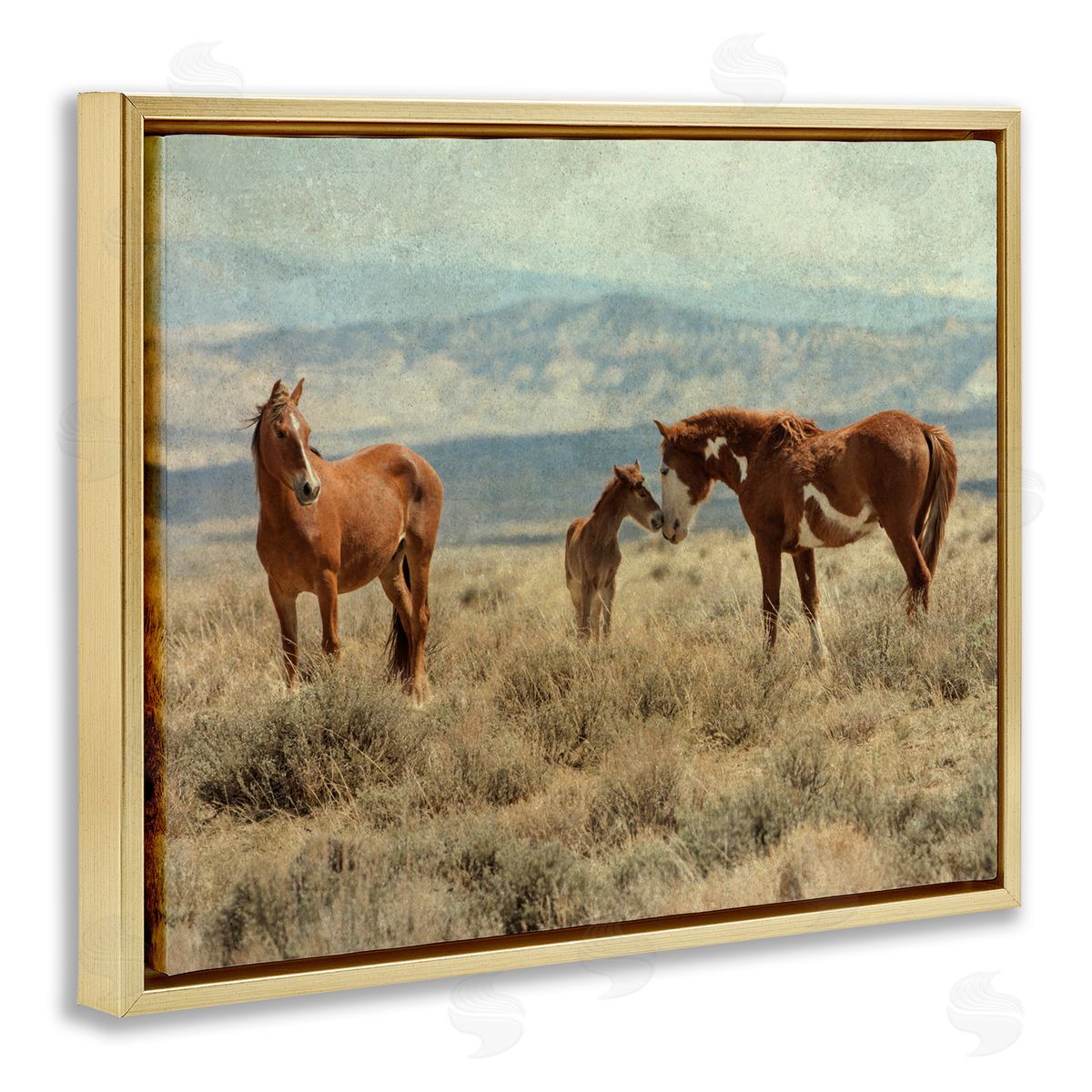 Jan Walters Heartening Horse Foal Family Scenic Mountain Clouds Gold Floating Frame Canvas Wall Art Print