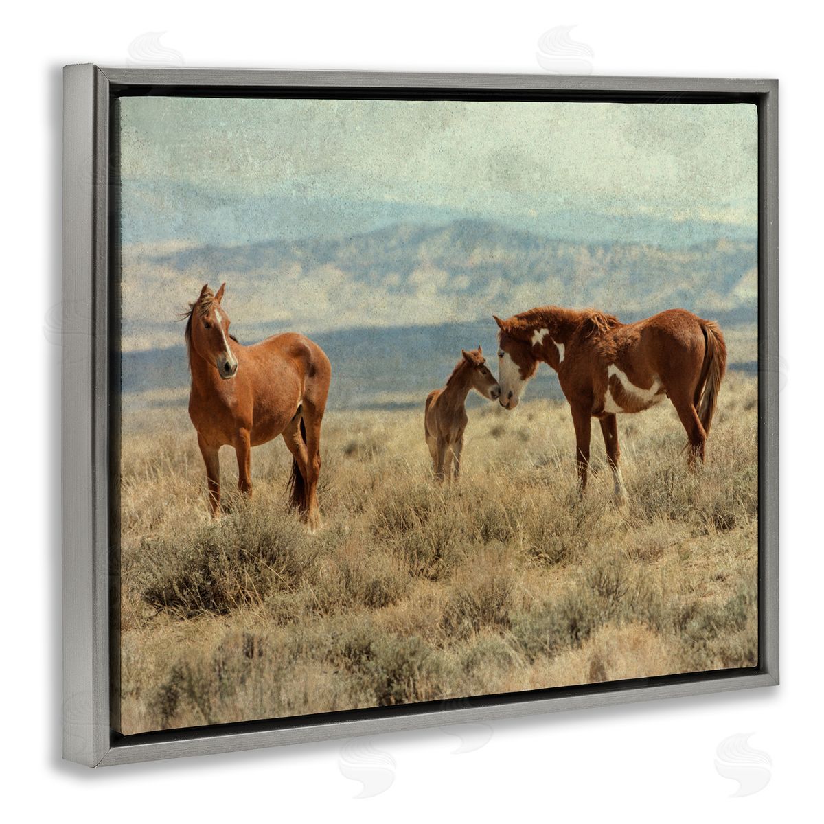 Jan Walters Heartening Horse Foal Family Scenic Mountain Clouds Gray Floating Frame Canvas Wall Art Print