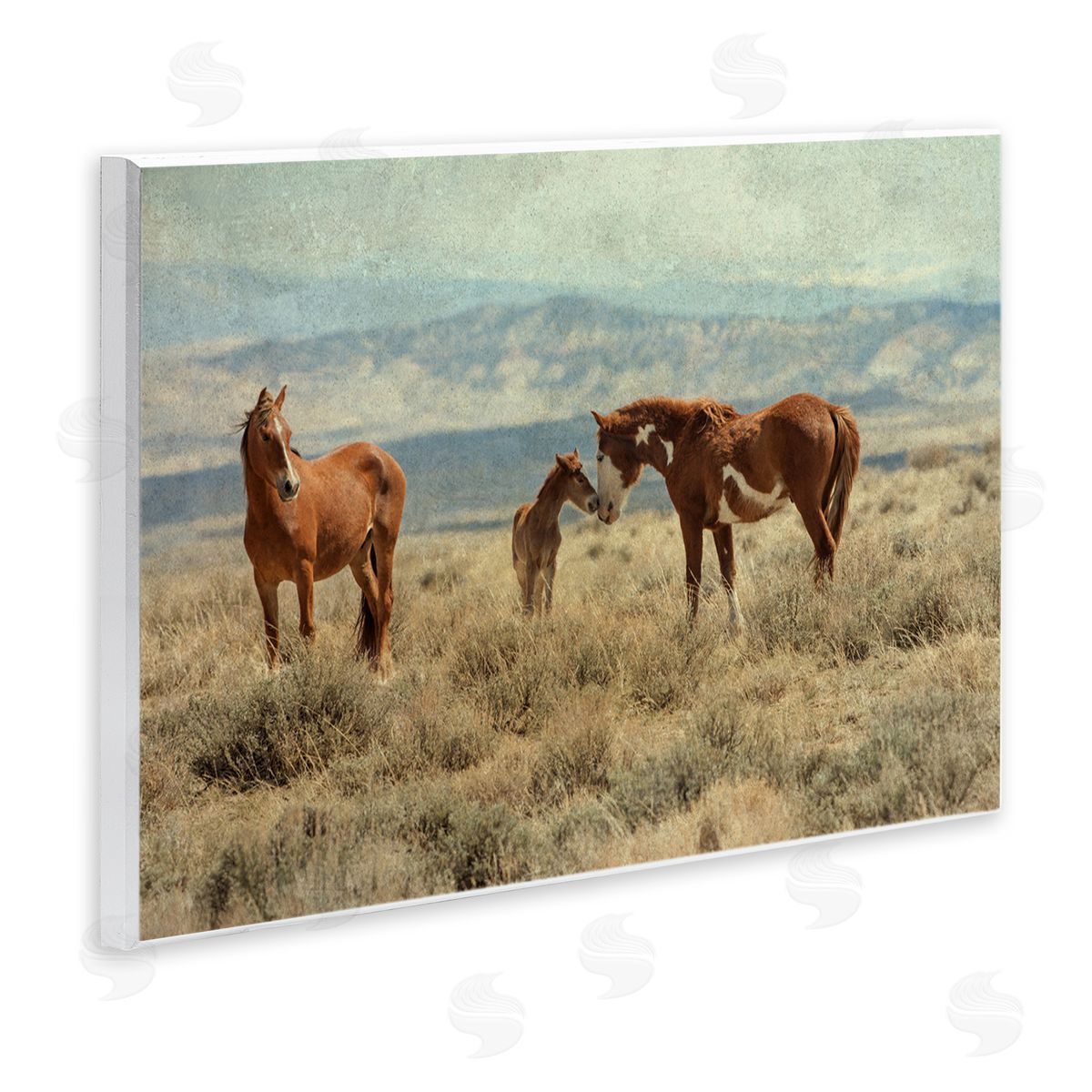 Jan Walters Heartening Horse Foal Family Scenic Mountain Clouds Wall Plaque Art Print