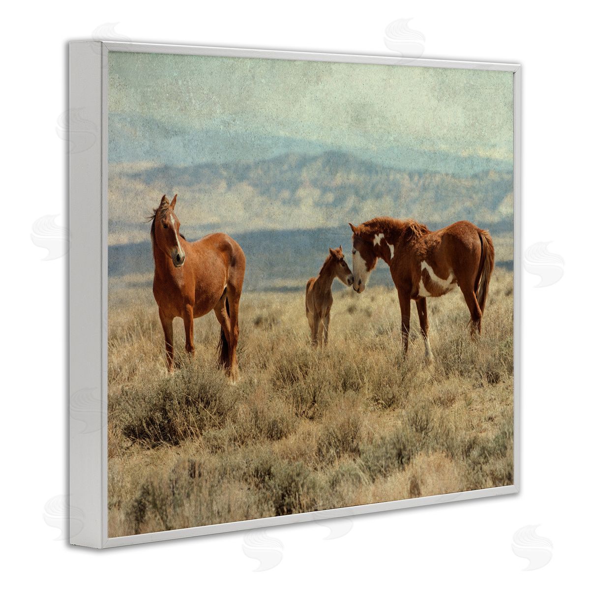 Jan Walters Heartening Horse Foal Family Scenic Mountain Clouds White Framed Giclee Wall Art Print