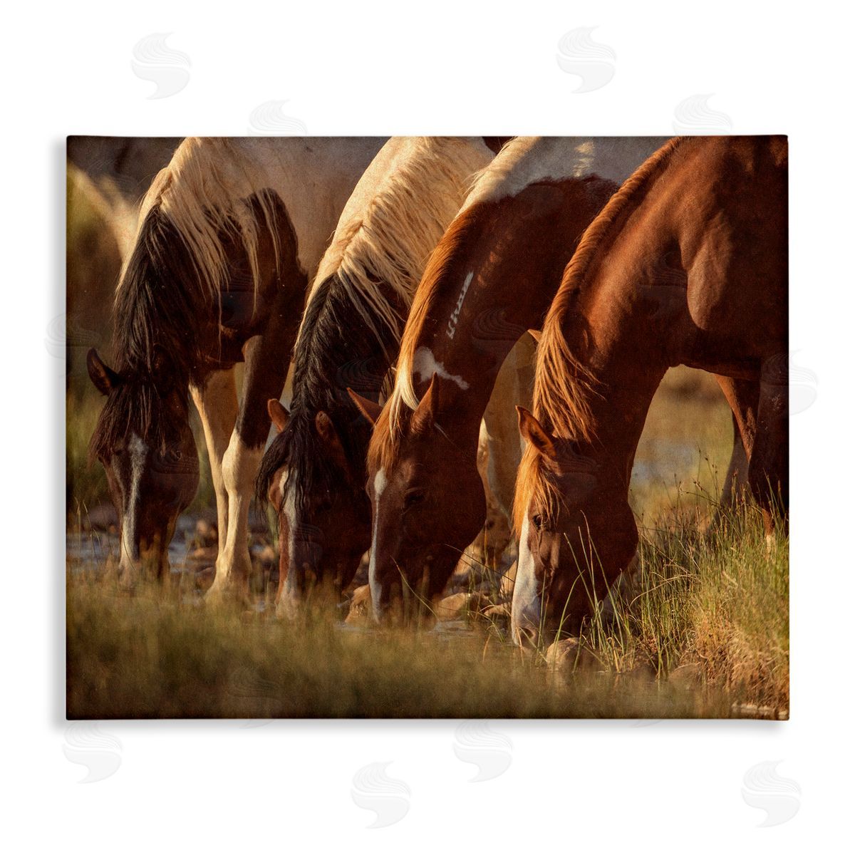 Jan Walters Sunlit Horses Drinking Water Wildlife Nature Scene Stretched Canvas Wall Art Print