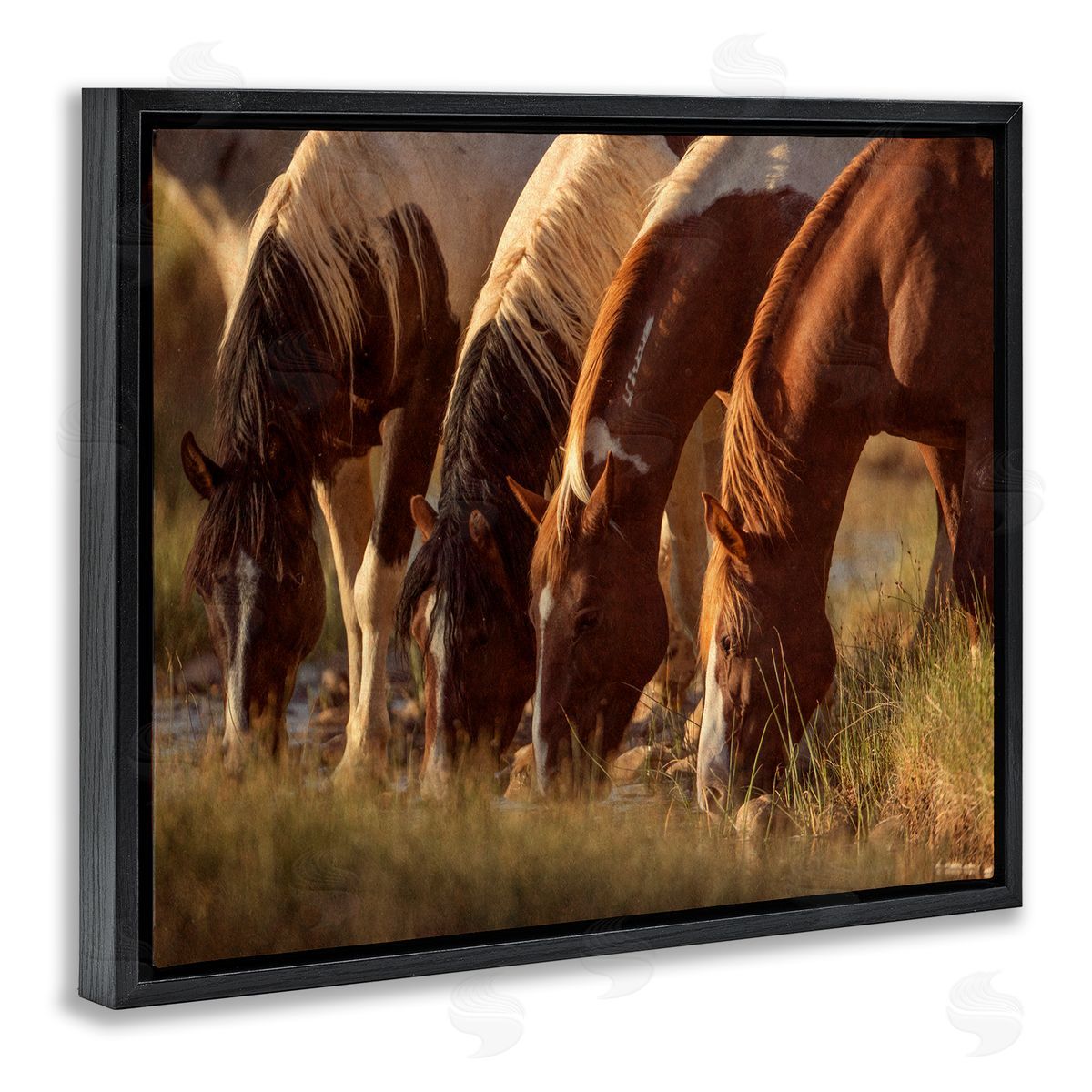 Jan Walters Sunlit Horses Drinking Water Wildlife Nature Scene Black Floating Frame Canvas Wall Art Print