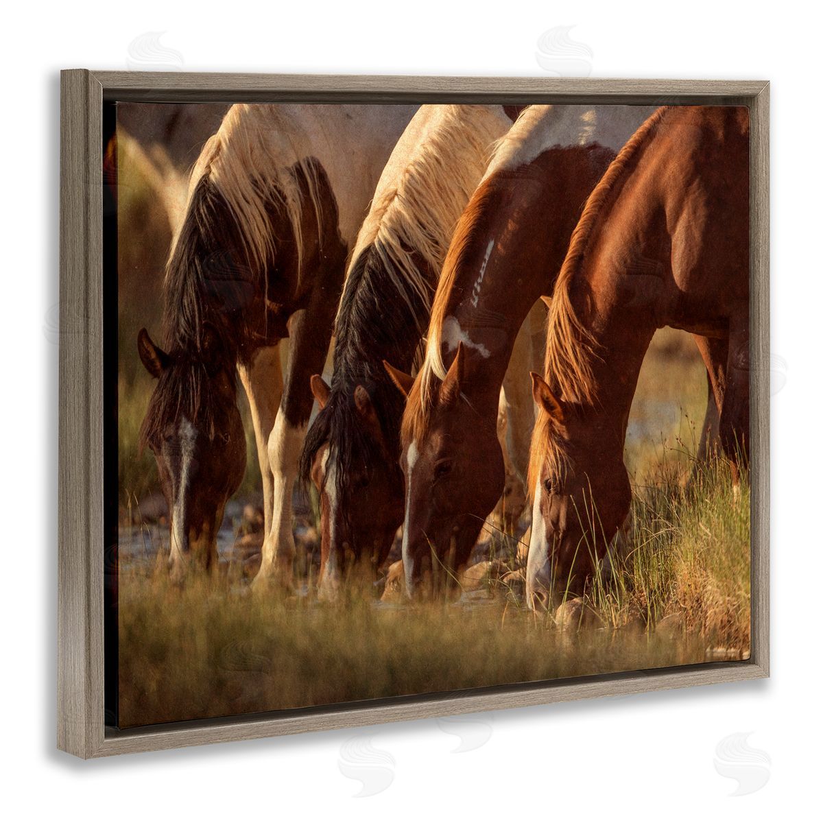 Jan Walters Sunlit Horses Drinking Water Wildlife Nature Scene Brown Floating Frame Canvas Wall Art Print
