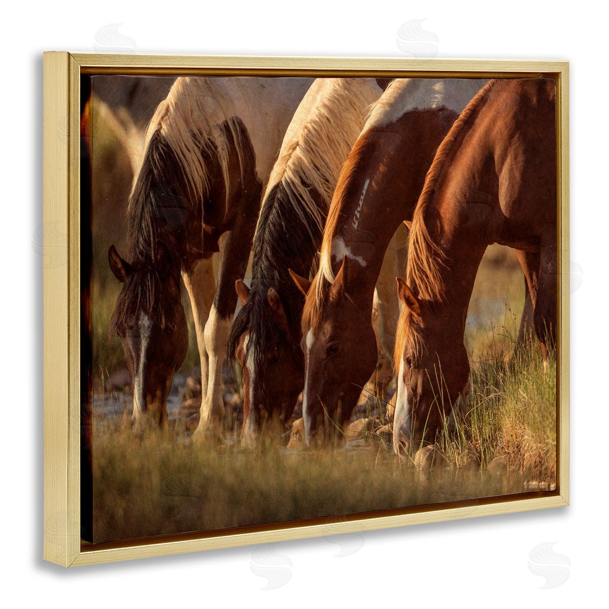 Jan Walters Sunlit Horses Drinking Water Wildlife Nature Scene Gold Floating Frame Canvas Wall Art Print