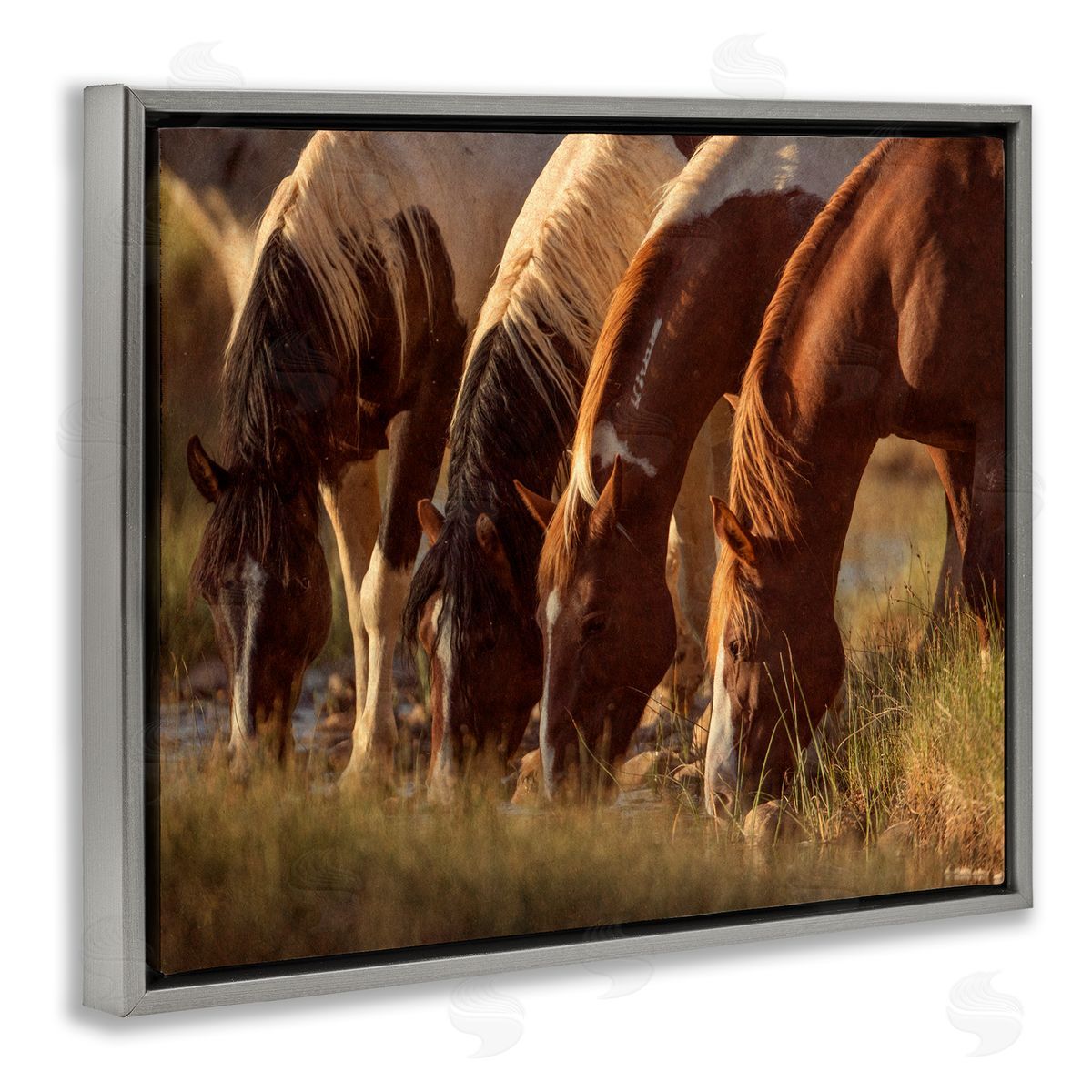 Jan Walters Sunlit Horses Drinking Water Wildlife Nature Scene Gray Floating Frame Canvas Wall Art Print