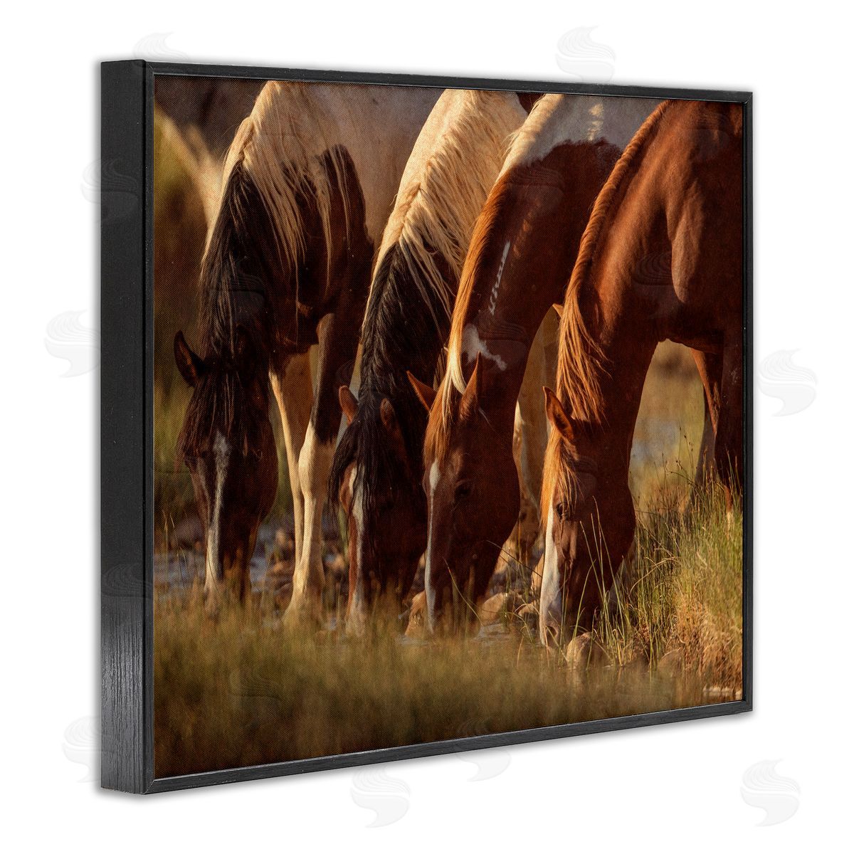 Jan Walters Sunlit Horses Drinking Water Wildlife Nature Scene Black Framed Giclee Wall Art Print