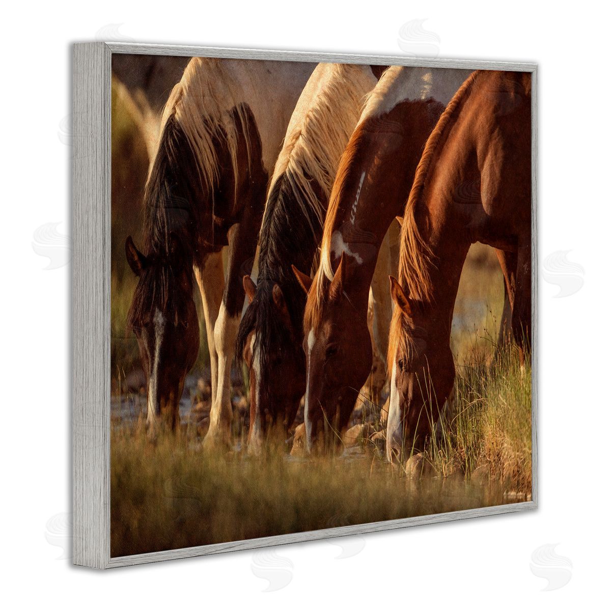 Jan Walters Sunlit Horses Drinking Water Wildlife Nature Scene Gray Framed Giclee Wall Art Print