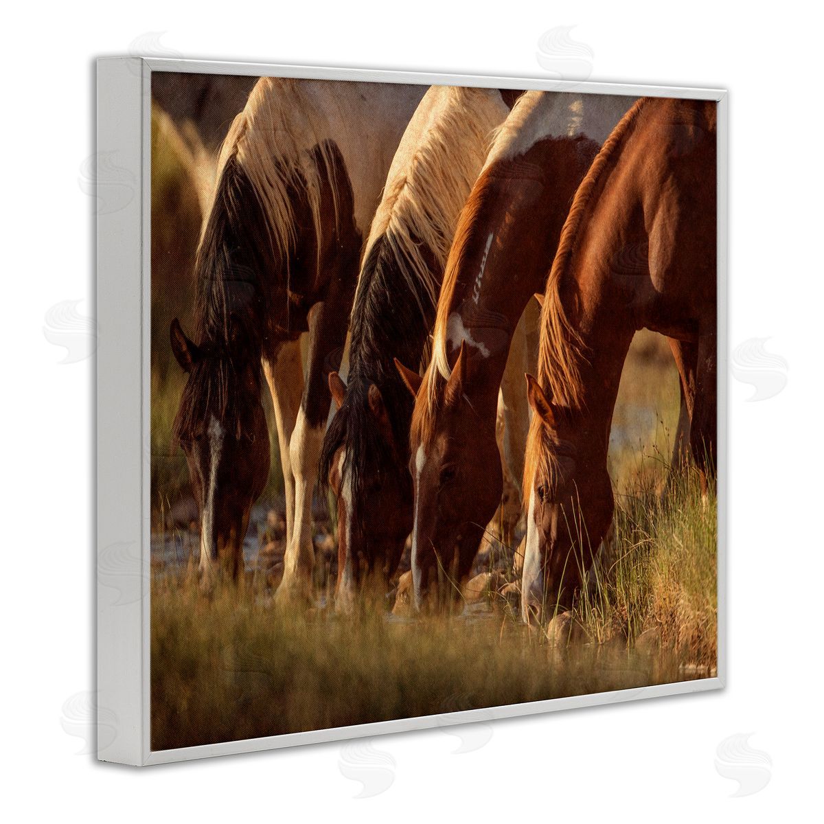 Jan Walters Sunlit Horses Drinking Water Wildlife Nature Scene White Framed Giclee Wall Art Print