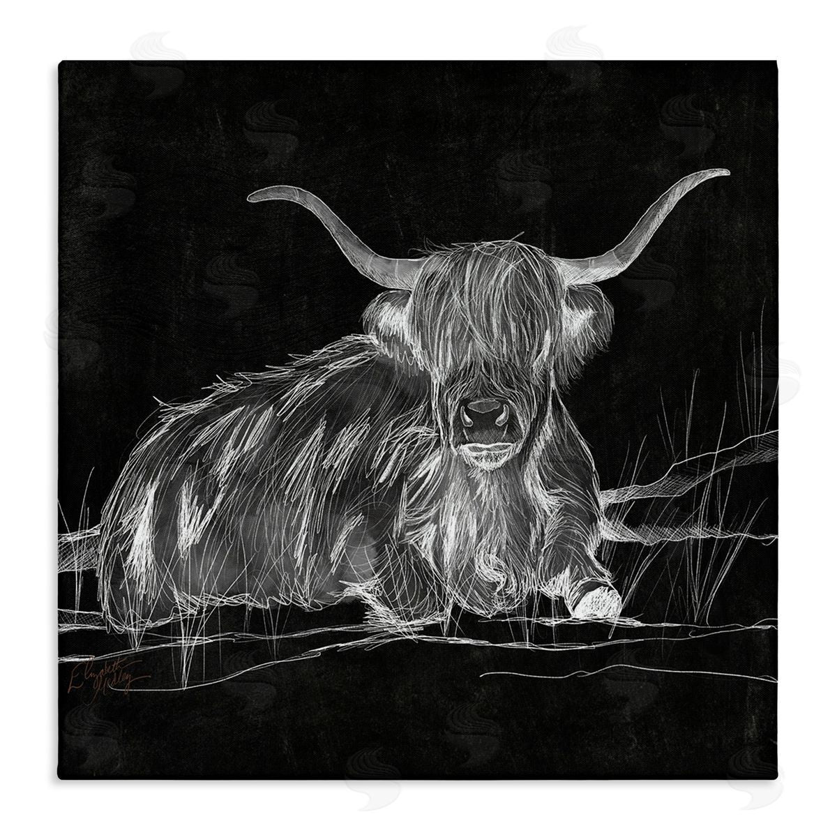Elizabeth Medley Contemporary Highland Cattle Laying Negative Drawing Stretched Canvas Wall Art Print