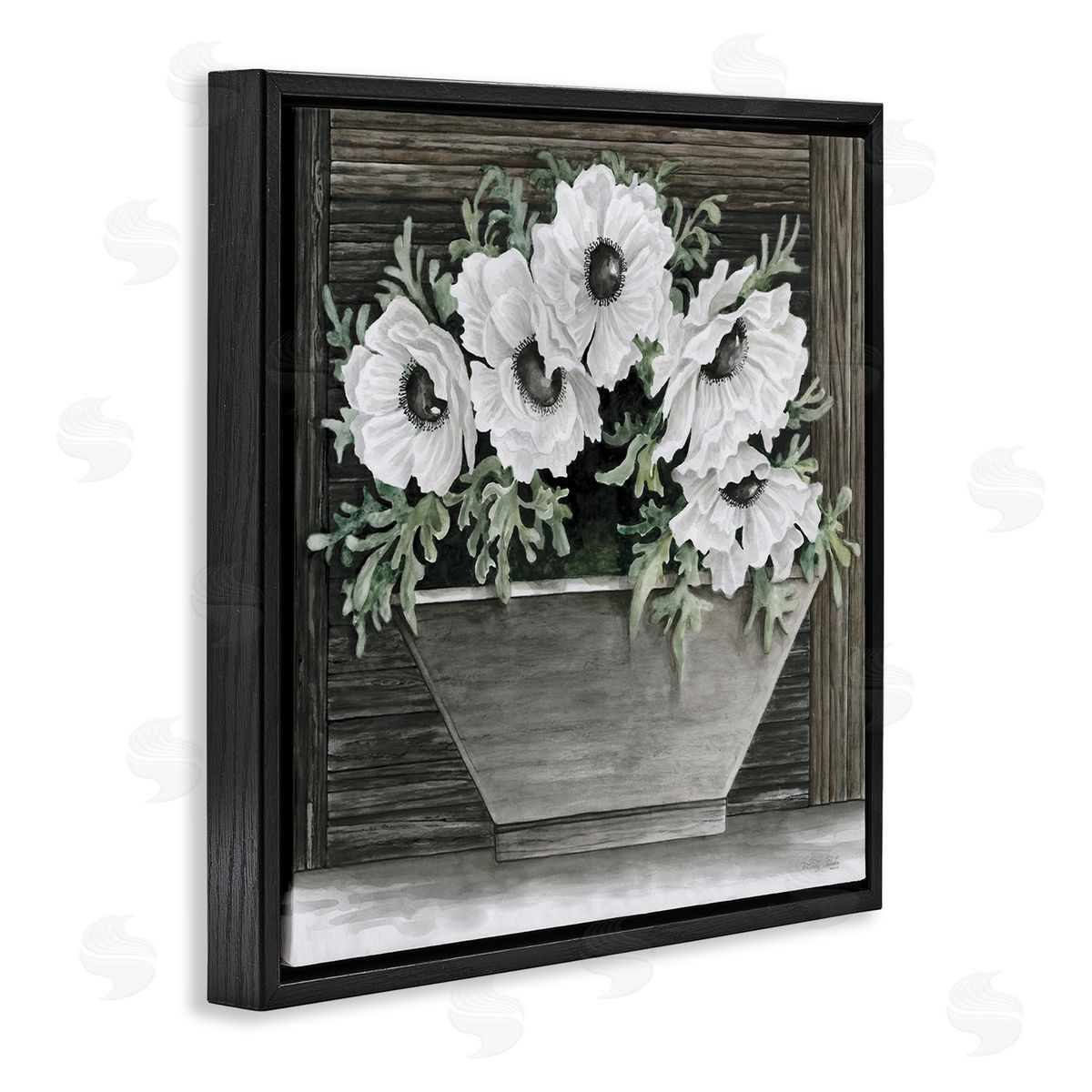 Cindy Jacobs Rustic White Anemone Flower Blossoms Overhanging Planter  Black Floating Frame Canvas Wall Art Print