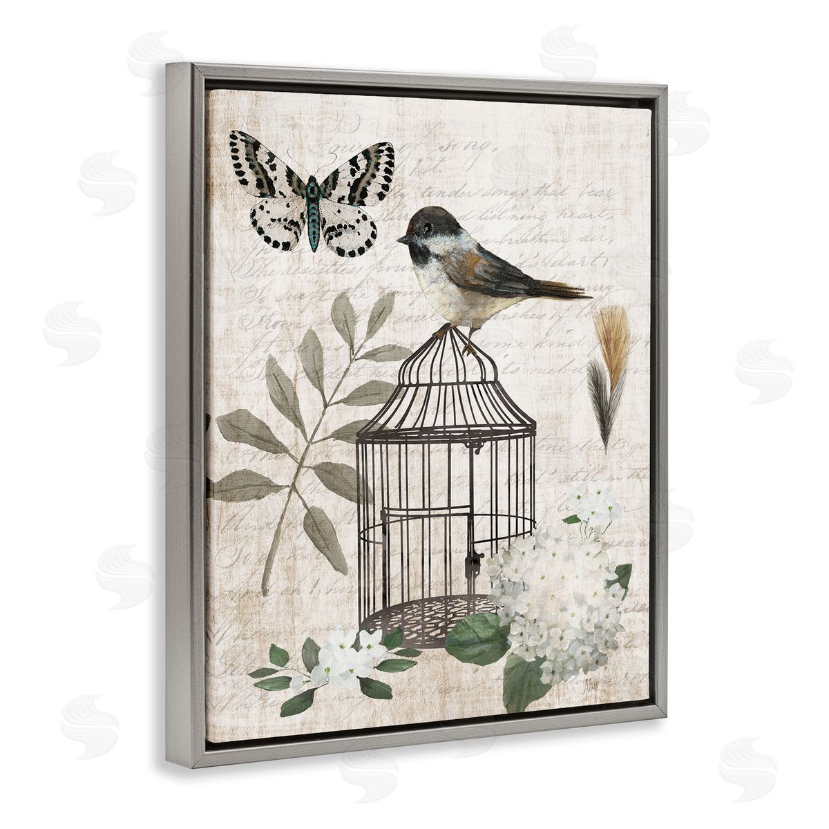 Nan Botanical Bird Cage Vintage Words Butterfly Gray Floating Frame Canvas Wall Art Print