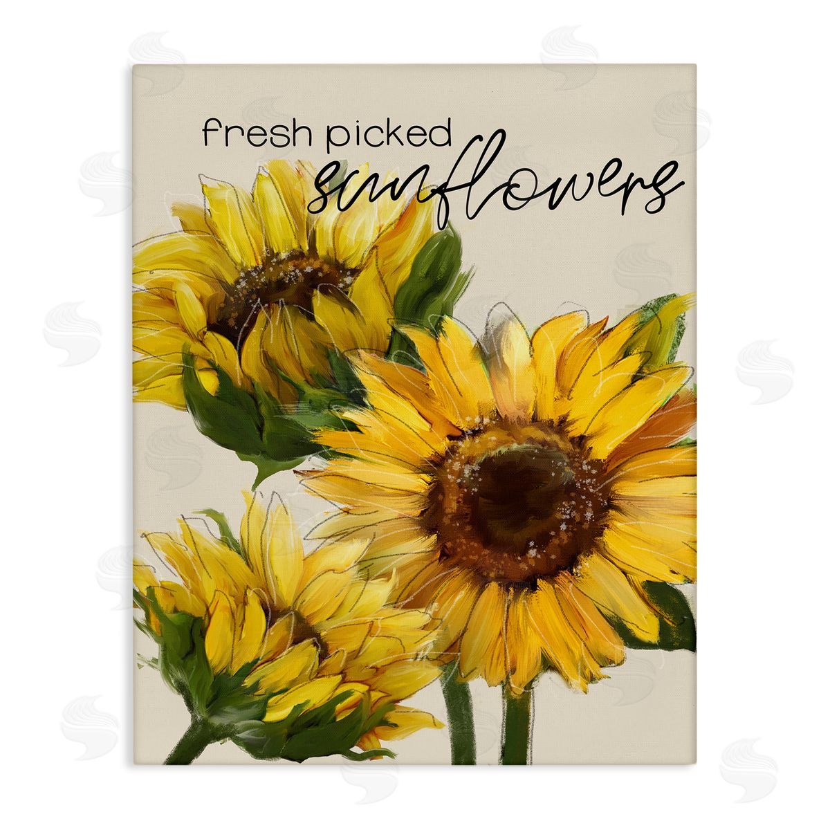 Conrad Knutsen Fresh Picked Sunflowers Calligraphy Vivid Yellow Blossoms Stretched Canvas Wall Art Print