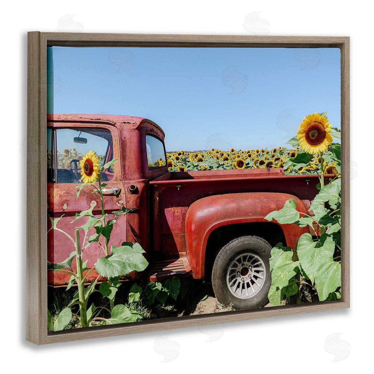 Kali Wilson Red Vintage Pickup Truck Amidst Sunflower Field  Brown Floating Frame Canvas Wall Art Print