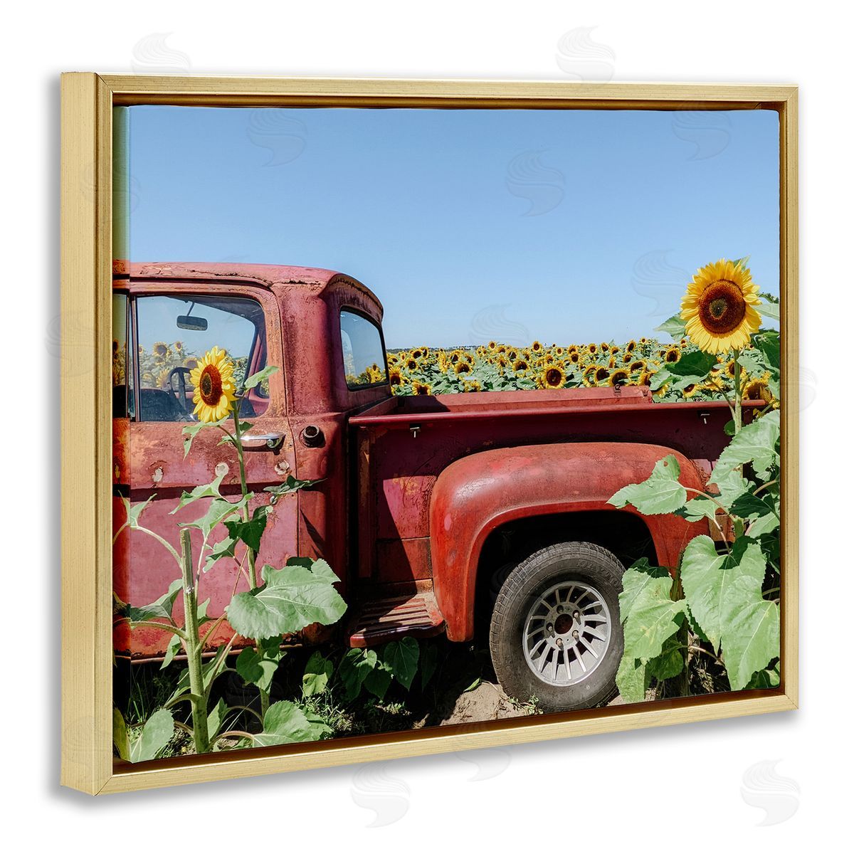 Kali Wilson Red Vintage Pickup Truck Amidst Sunflower Field  Gold Floating Frame Canvas Wall Art Print