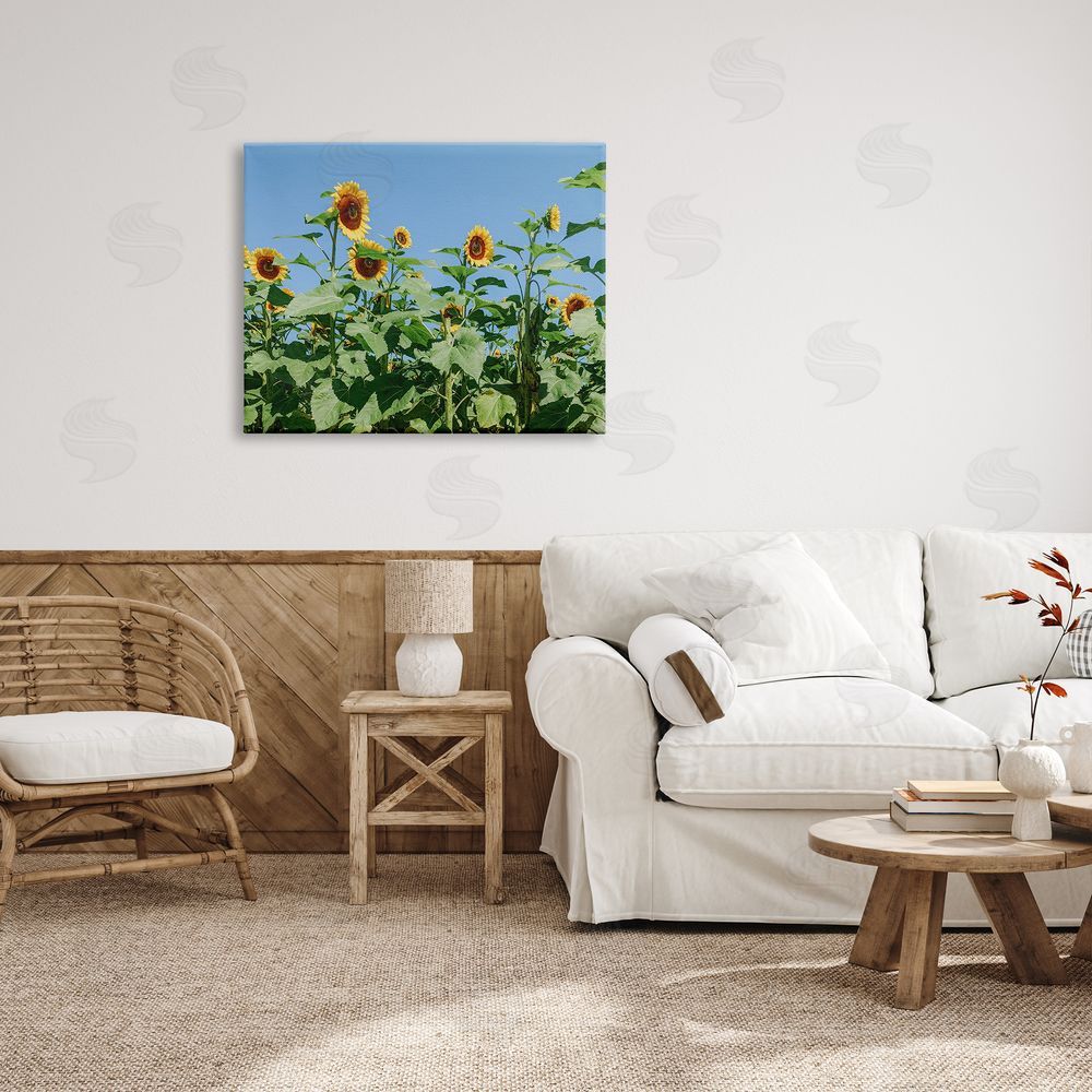 Kali Wilson Tranquil Country Sunflower Meadow Sunny Daytime Blooms Canvas Wall Art Print in Room